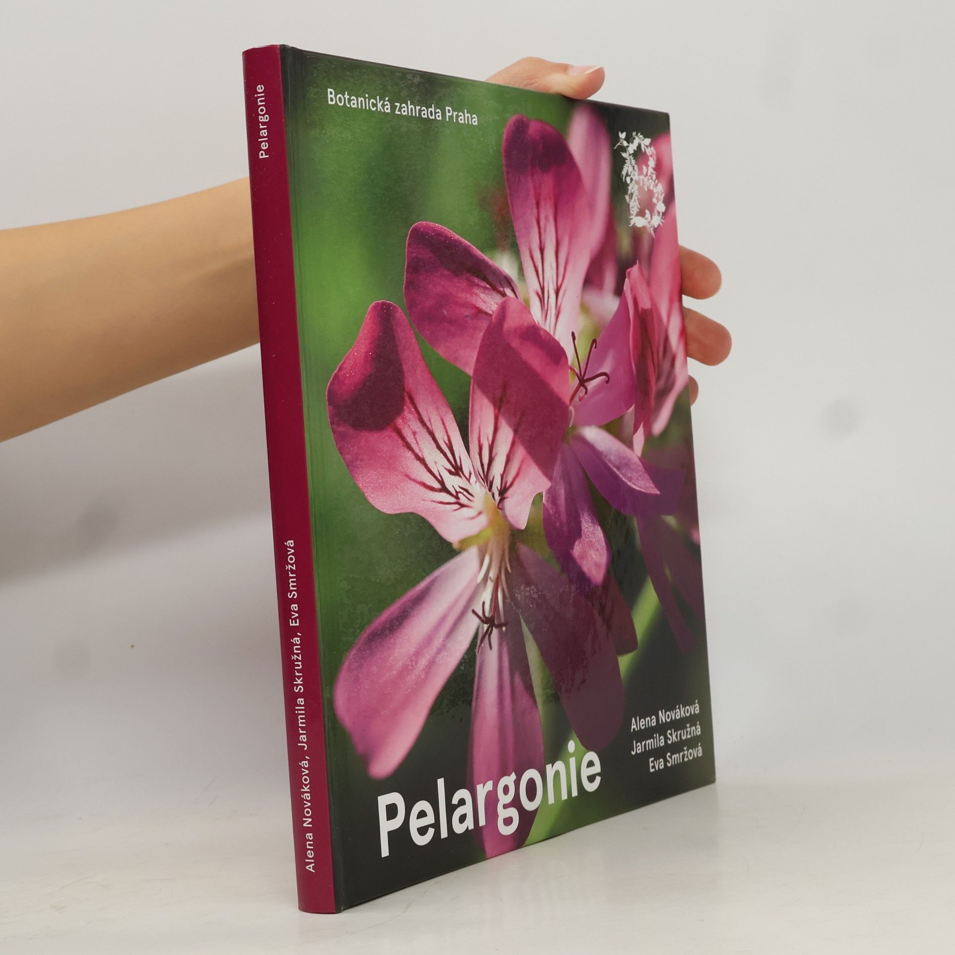 Alena Nováková Pelargonie