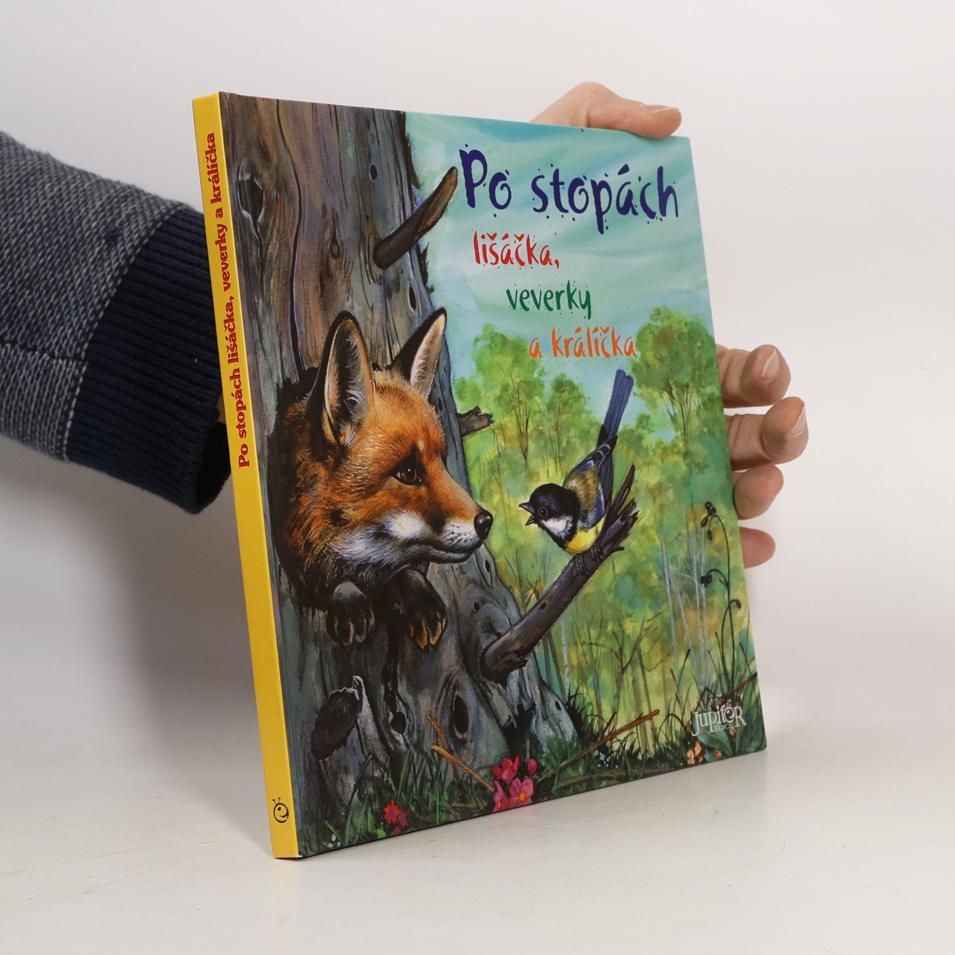 Autorenkollektiv Po stopách lišáčka, veverky a králíčka
