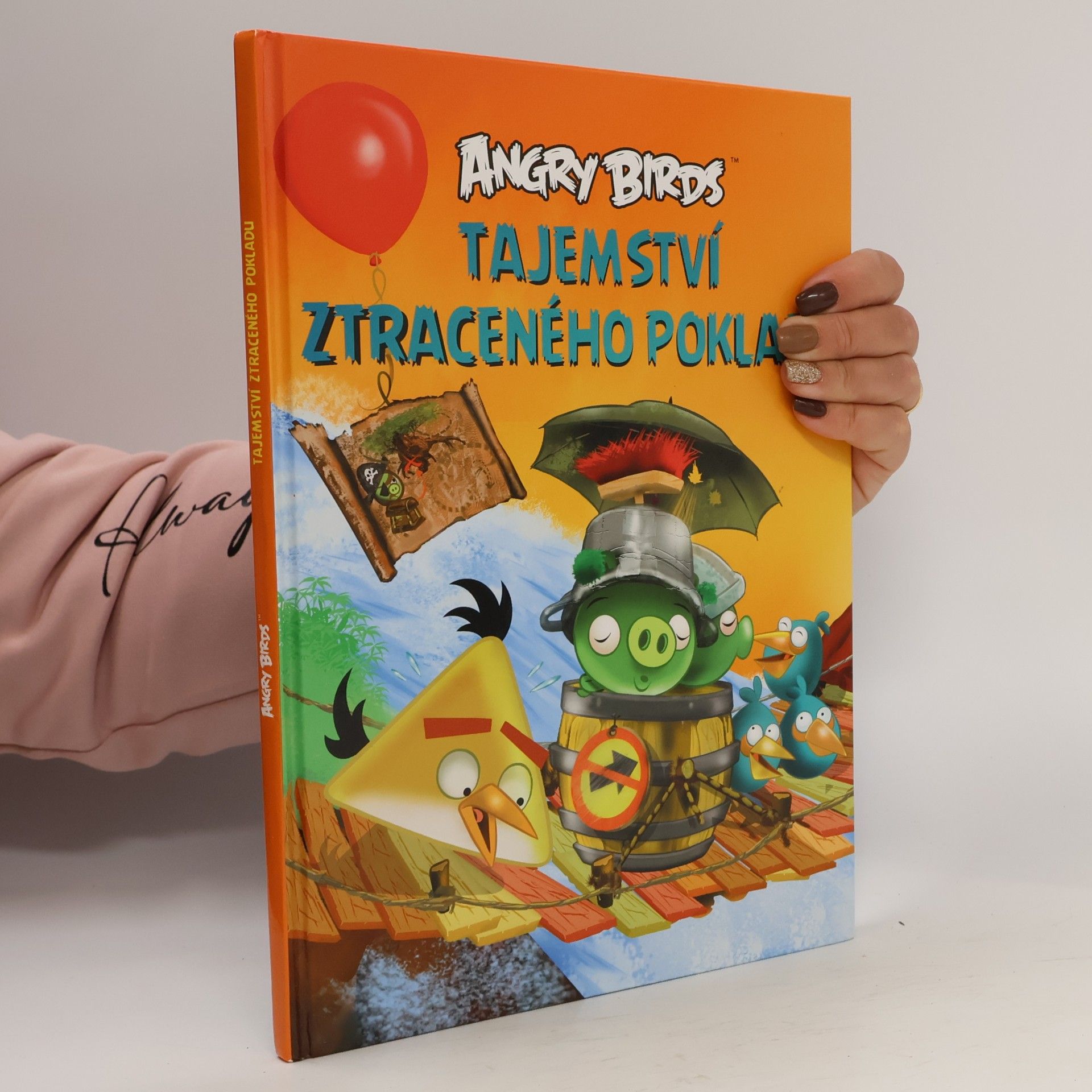 Angry Birds. Tajemství ztraceného pokladu