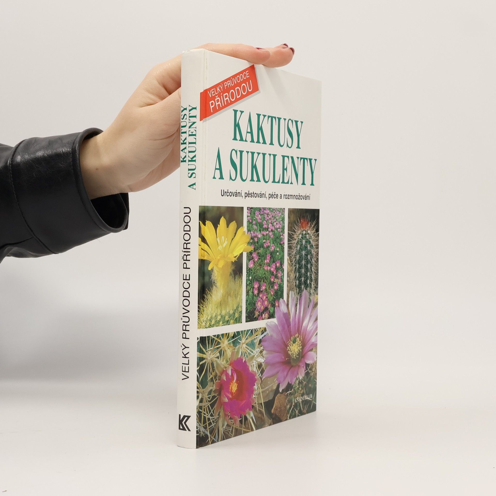 Kaktusy a sukulenty: určování, pěstování, péče a rozmnožování