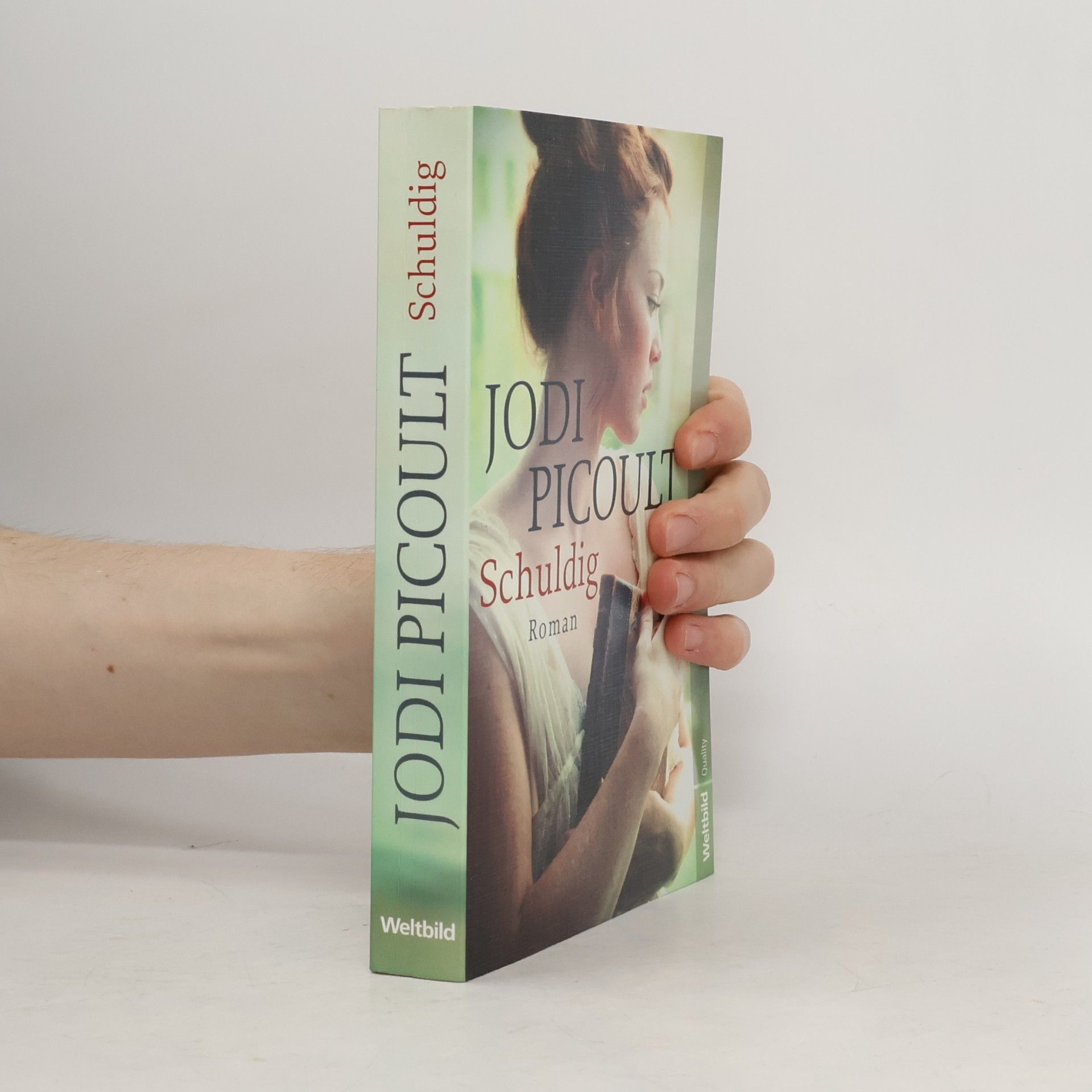 Jodi Picoult Schuldig