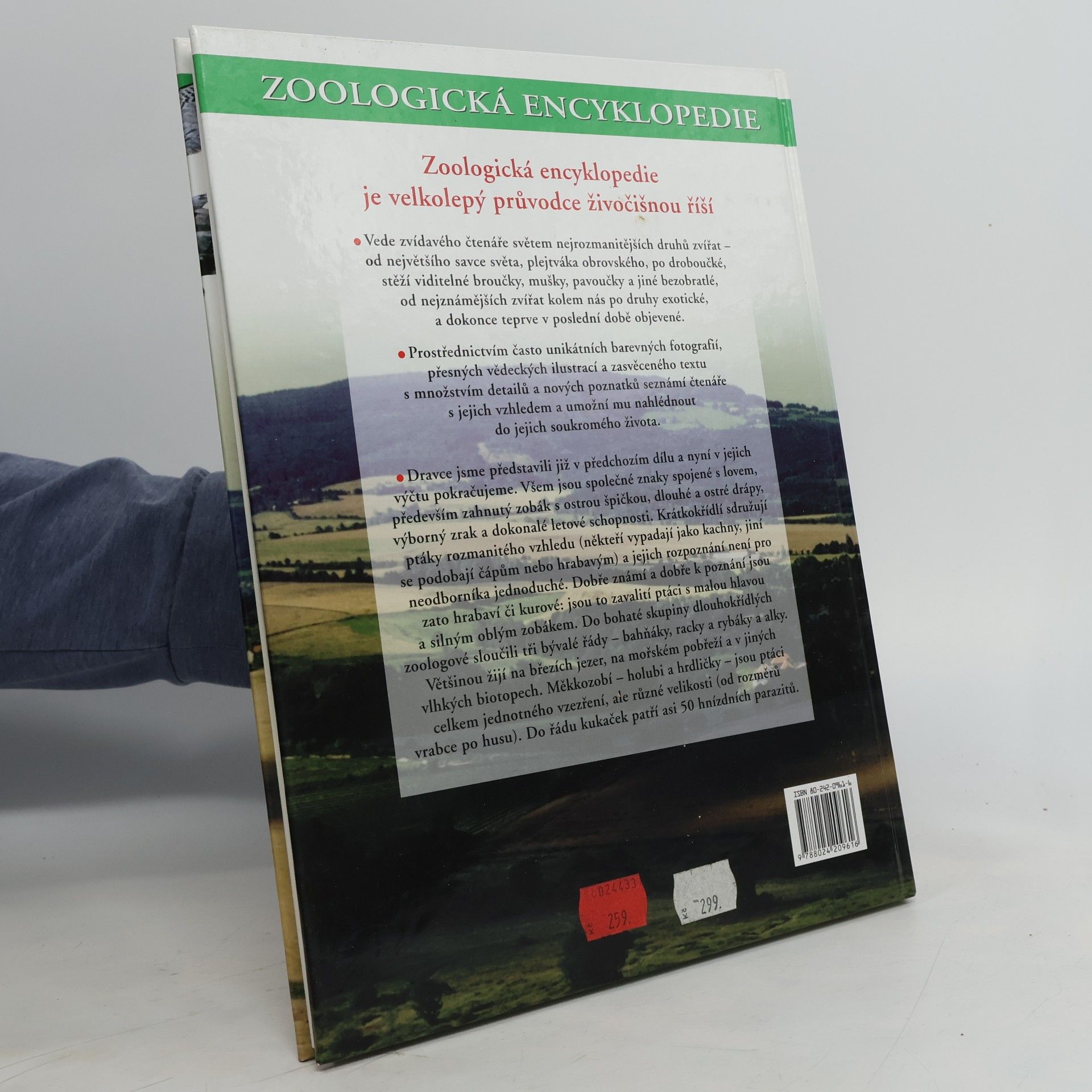 Kolektív autorov Zoologická encyklopedie - Ptáci 2