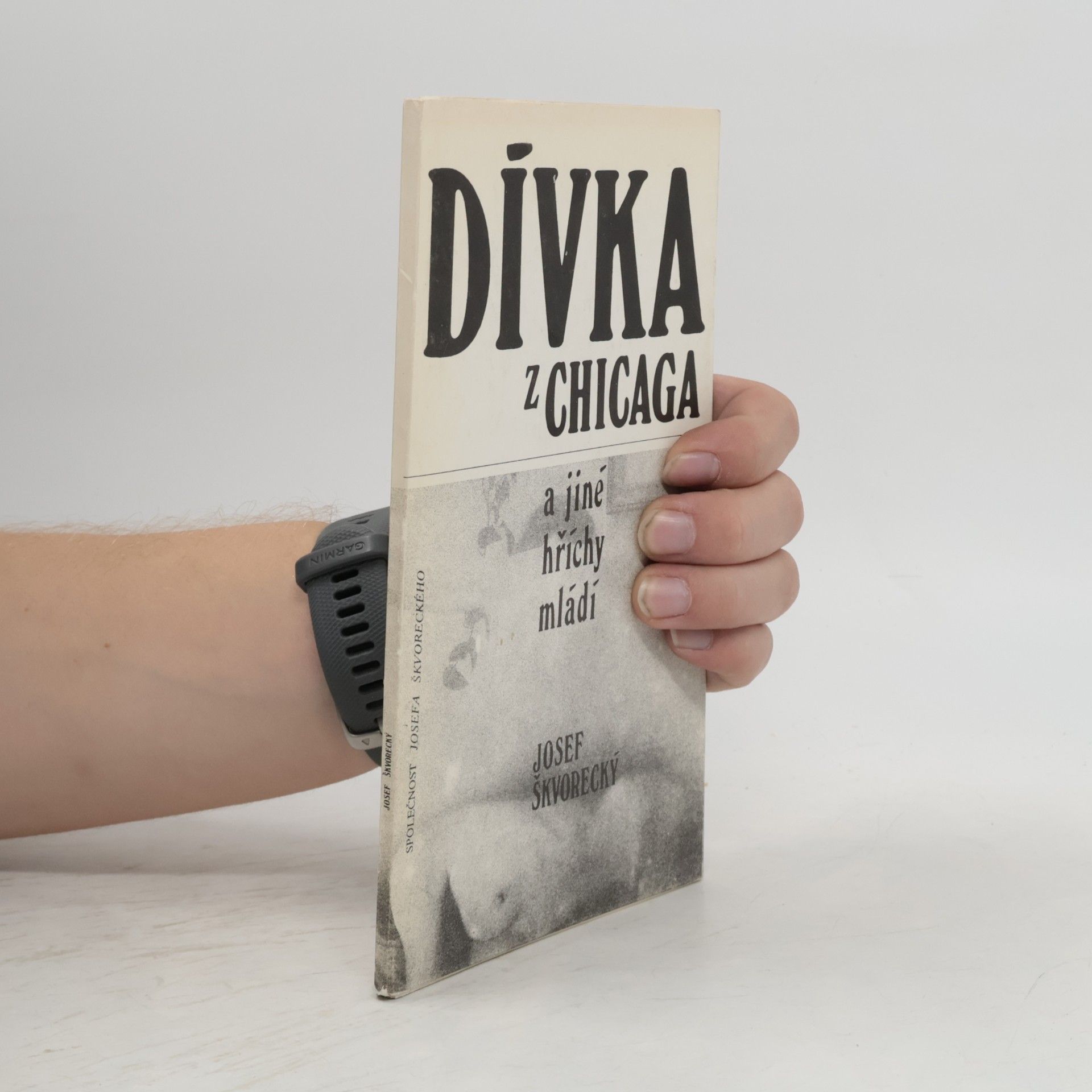 Dívka z Chicaga a jiné hříchy mládí. Básně z let 1940-45