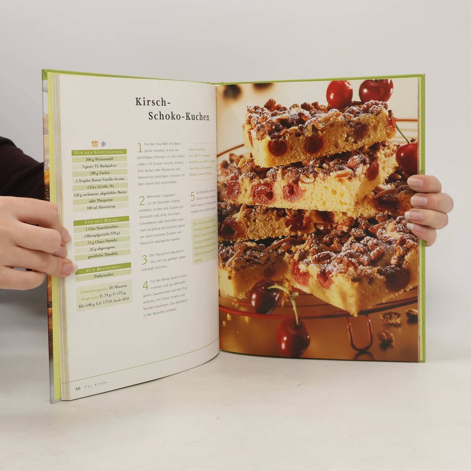 Kolektiv autorů Schnelle Kuchen