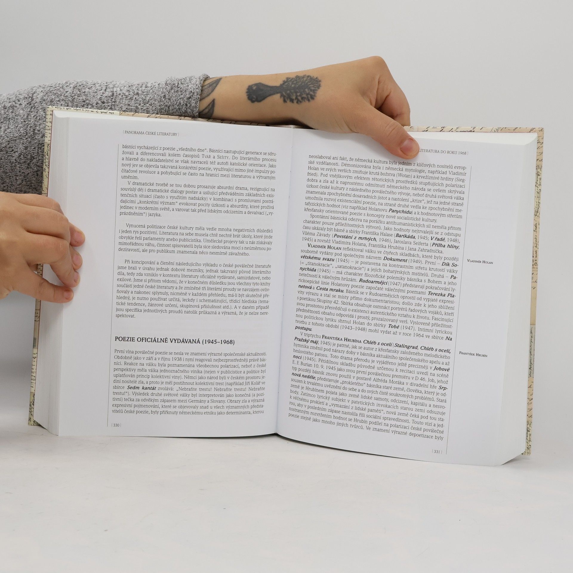 Kolektív autorov Panorama české literatury. (1), Do roku 1989