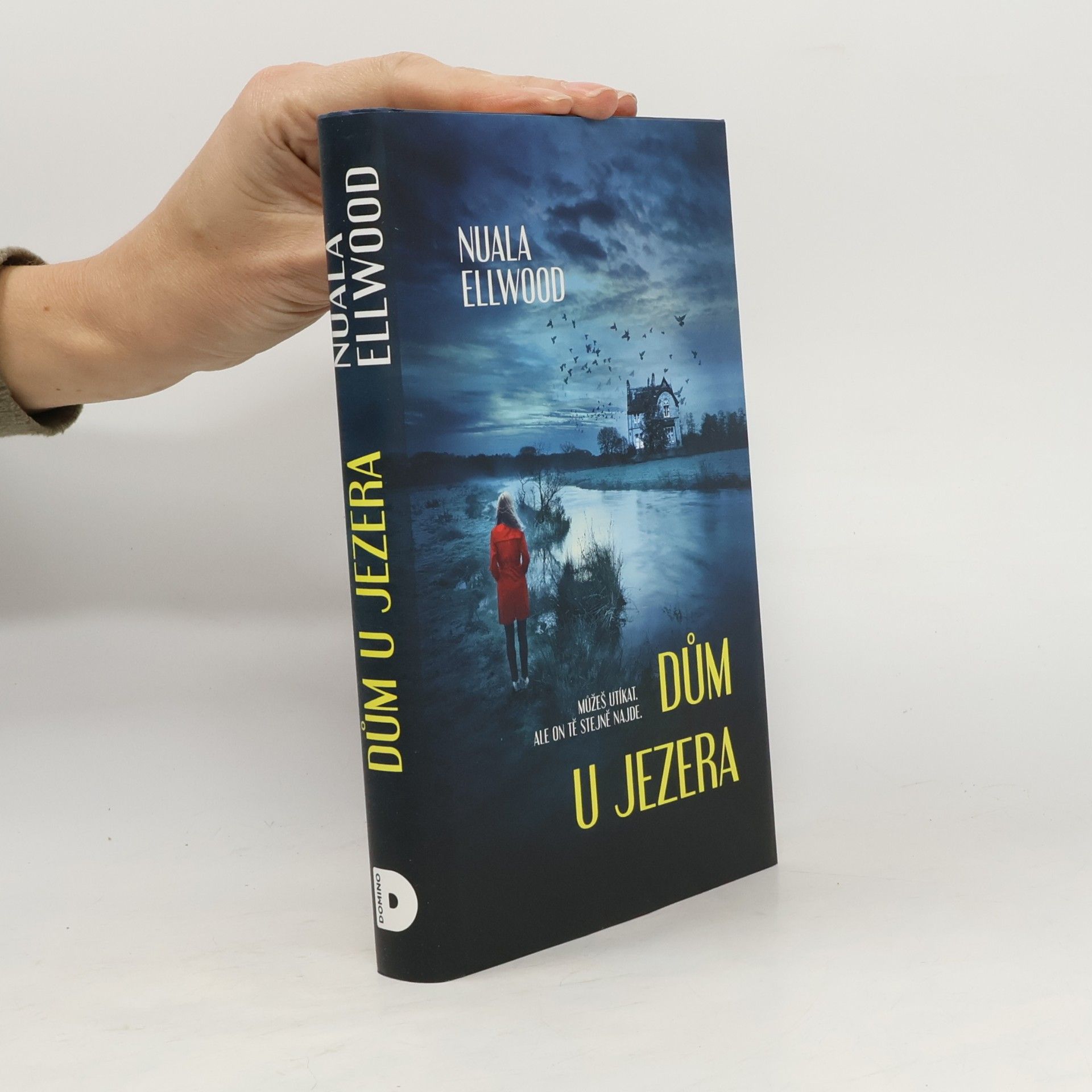 Nuala Ellwood Dům u jezera
