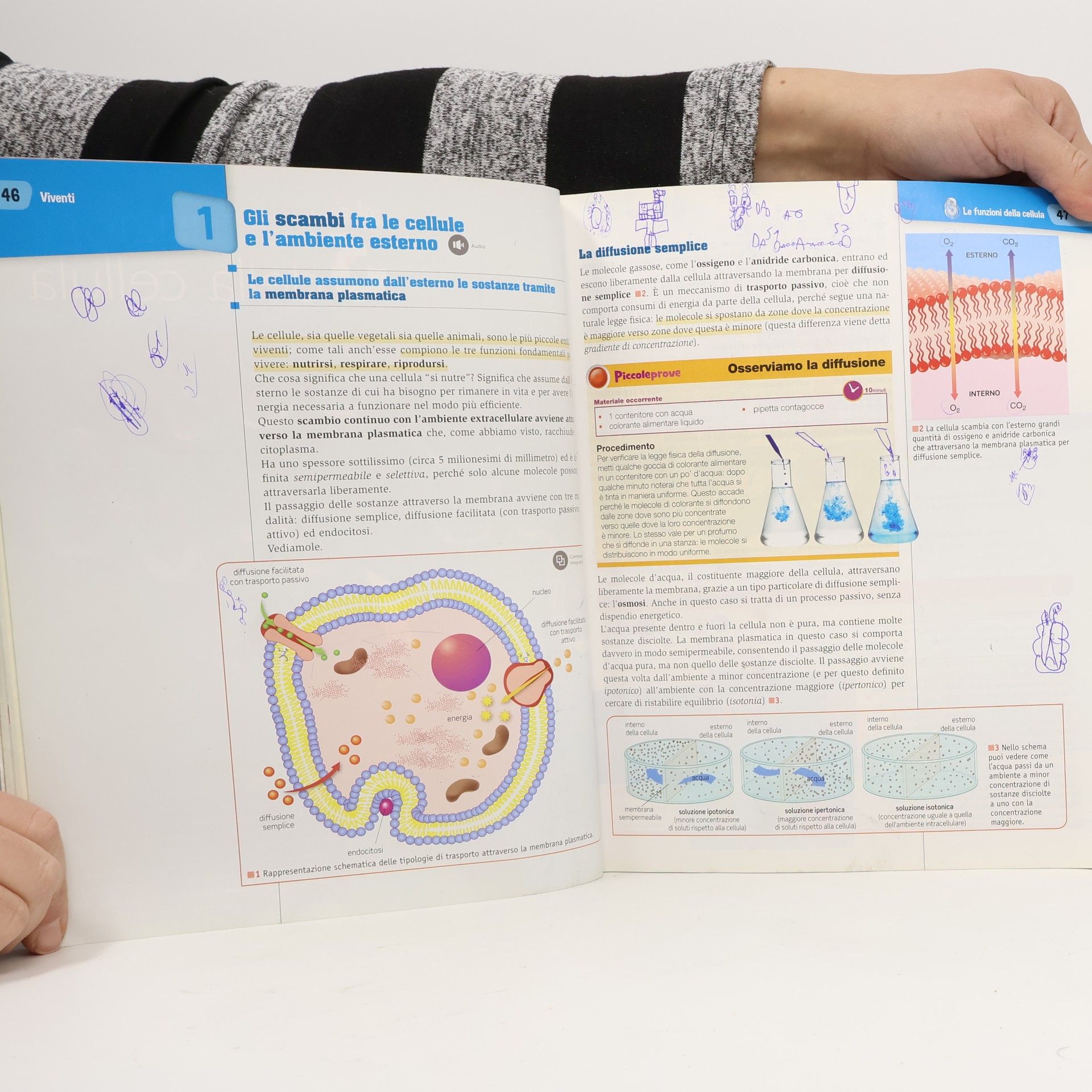 Cristina M. Banfi Mosaico scienze. Per la Scuola media