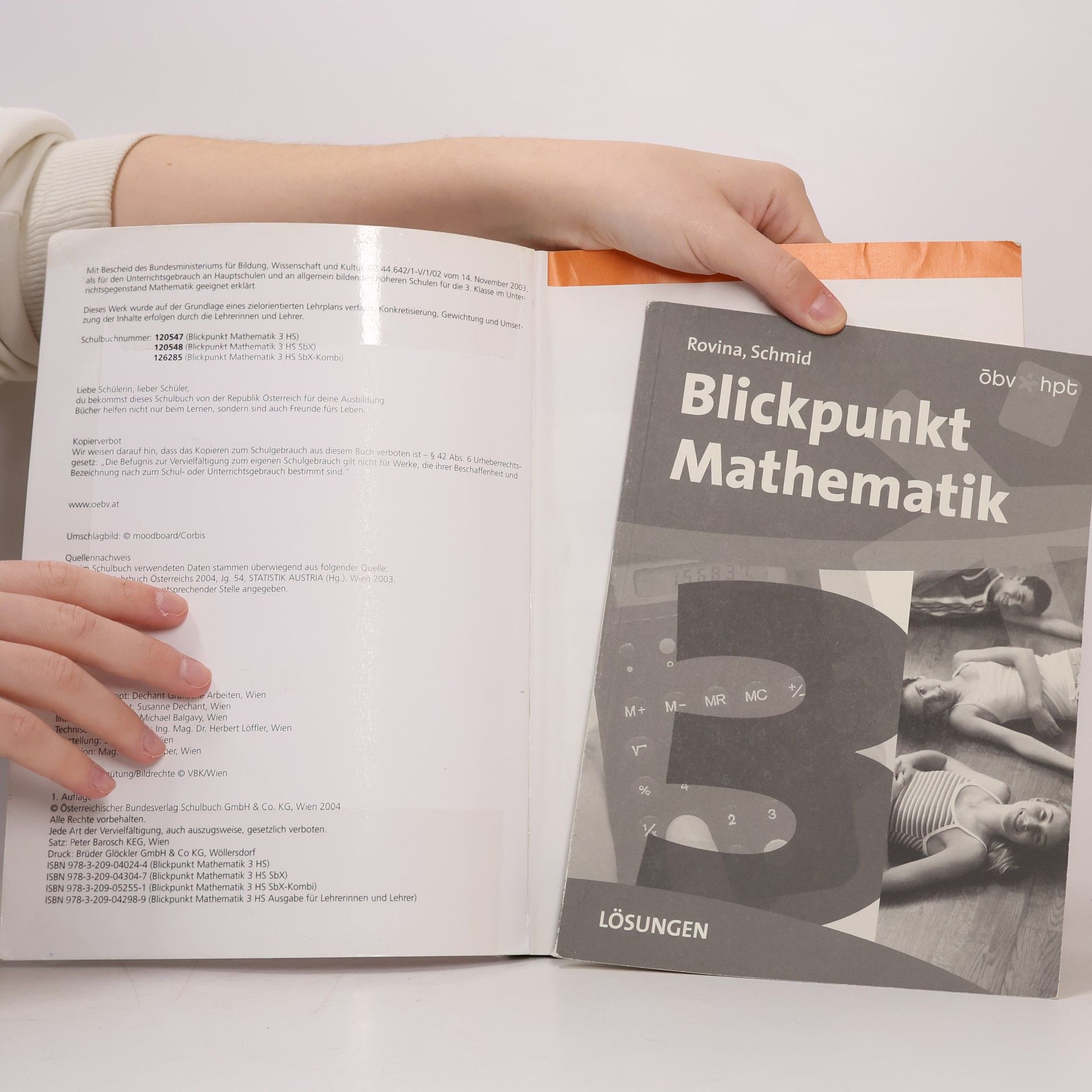 Rovina Blickpunkt Mathematik 3