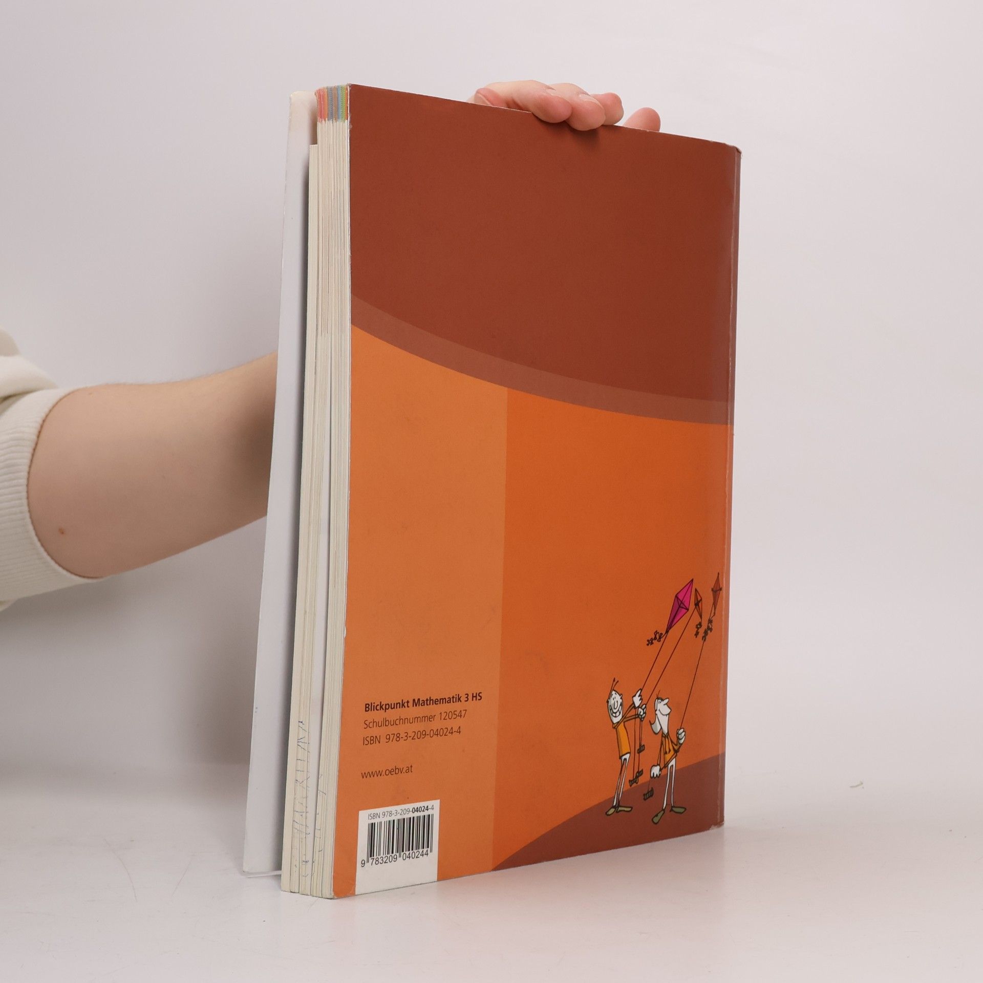 Rovina Blickpunkt Mathematik 3