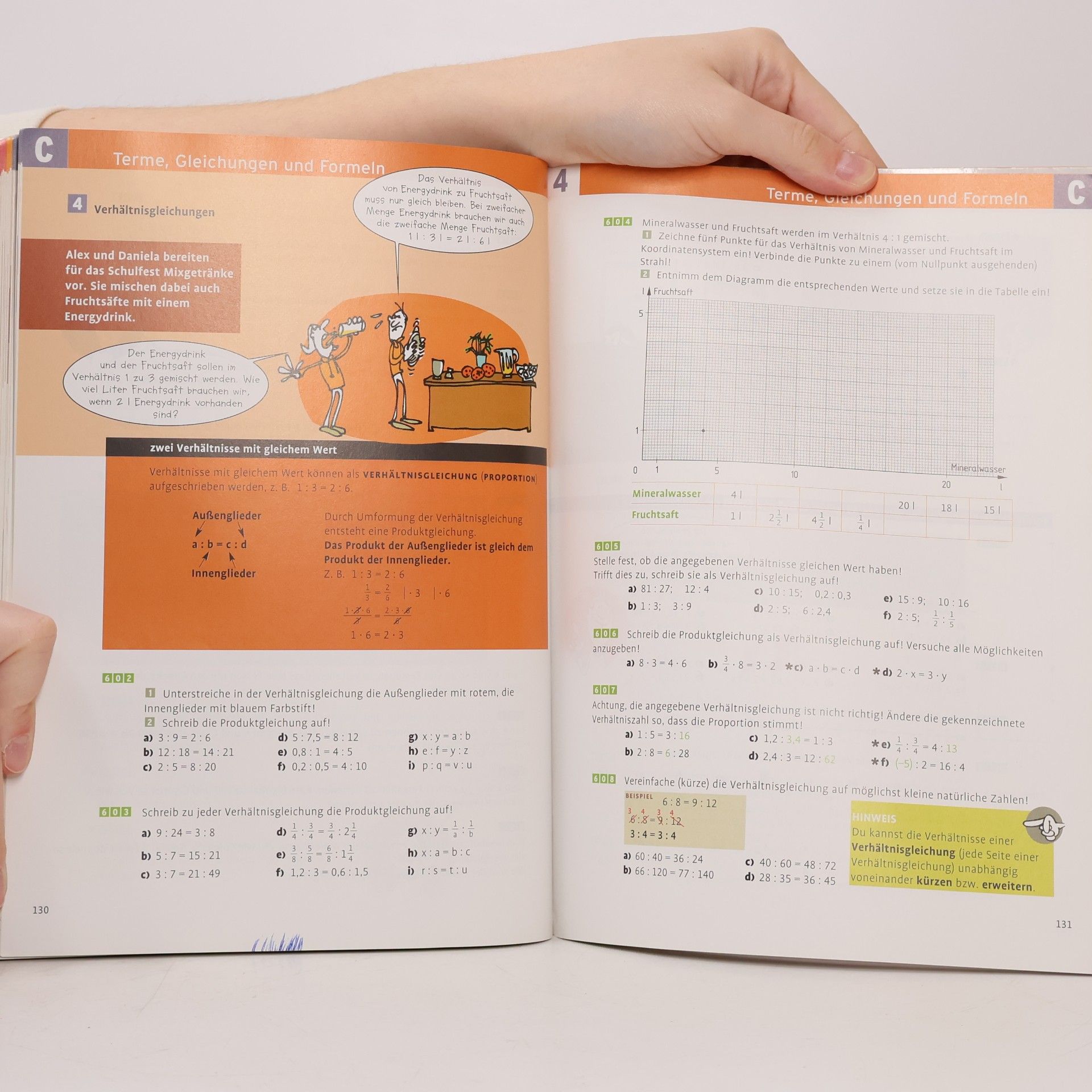 Rovina Blickpunkt Mathematik 3