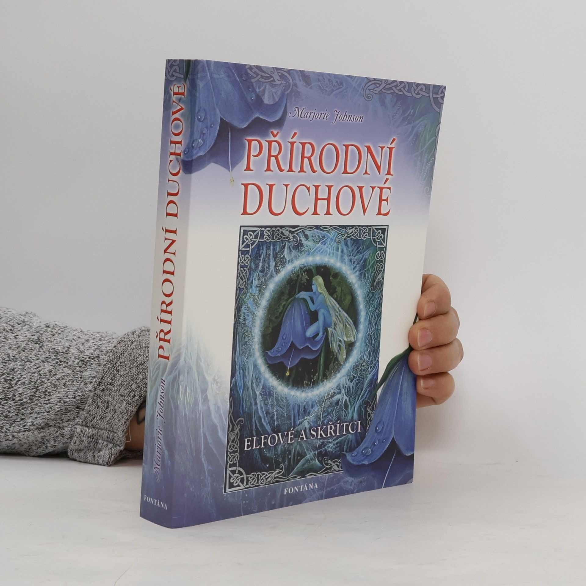 Přírodní duchové - Elfové a skřítci