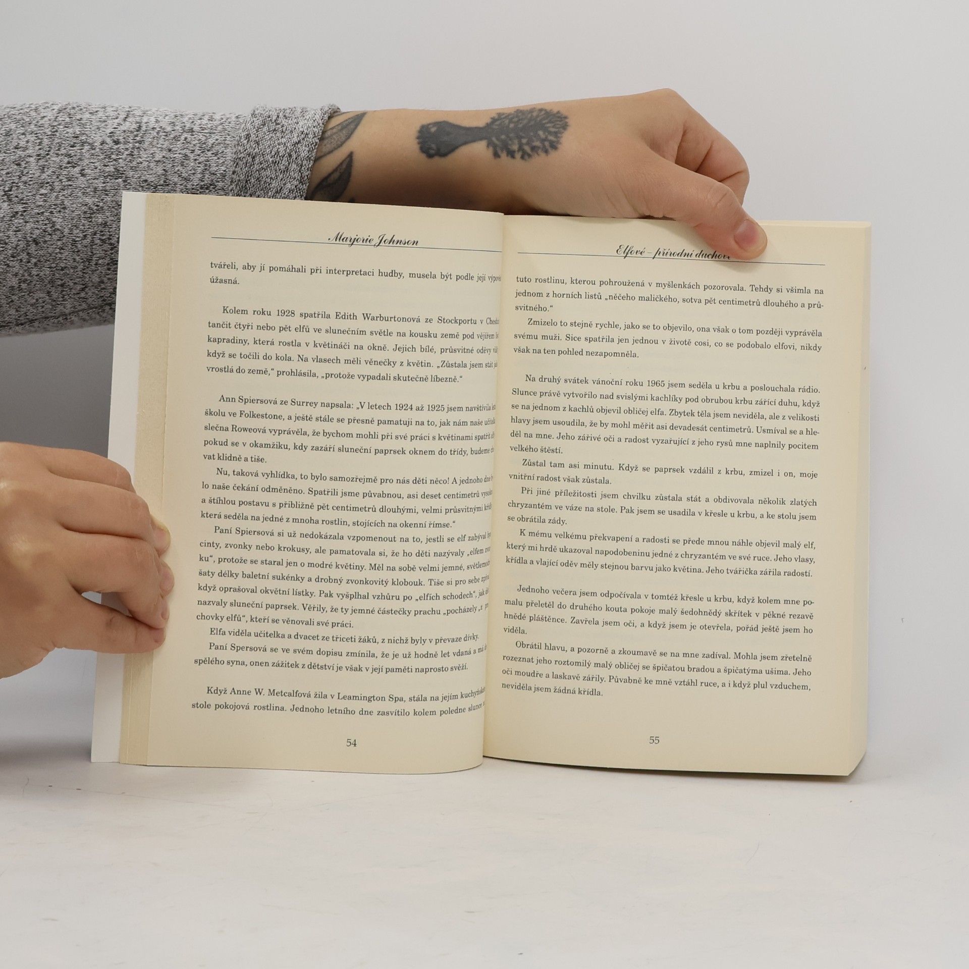 Marjorie Johnson Přírodní duchové - Elfové a skřítci