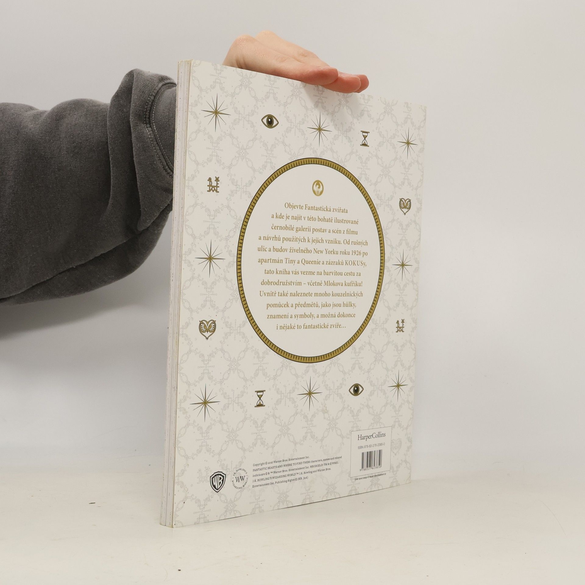 Autores varios Fantastická zvířata a kde je najít : Kouzelné postavy a magická místa - omalovánky