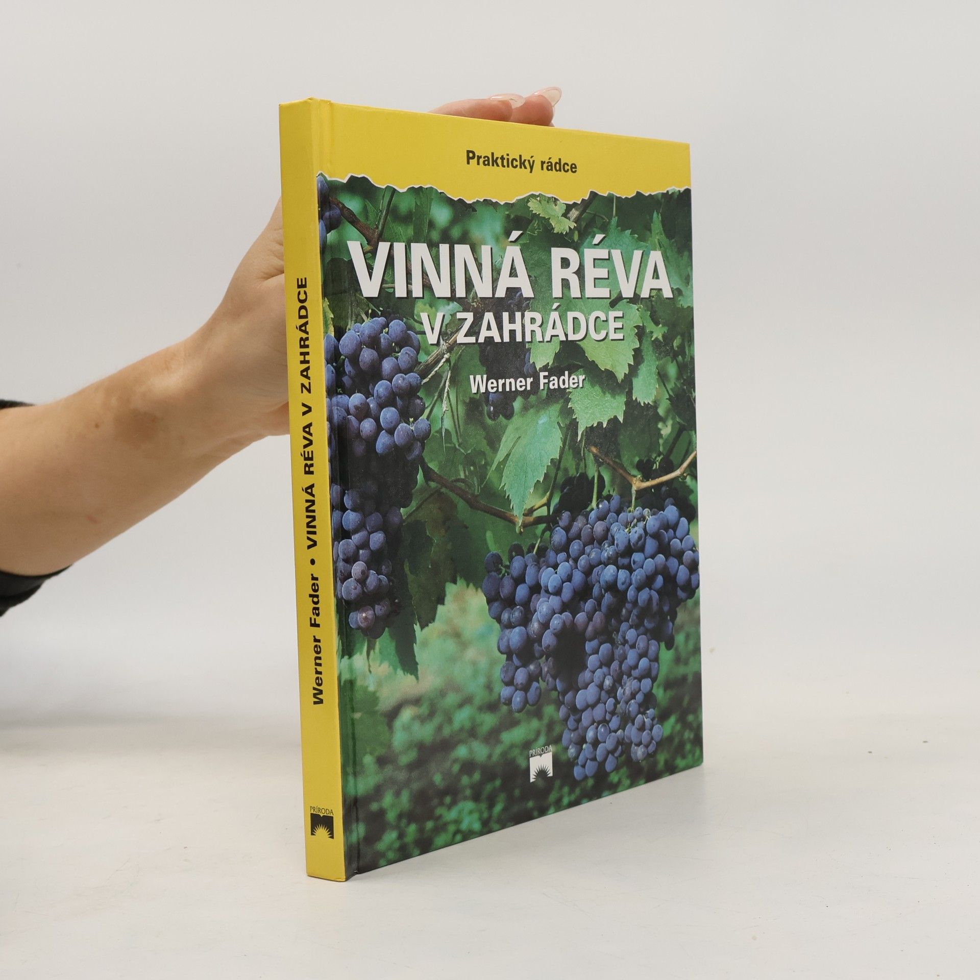 Werner Fader Vinná réva v zahrádce