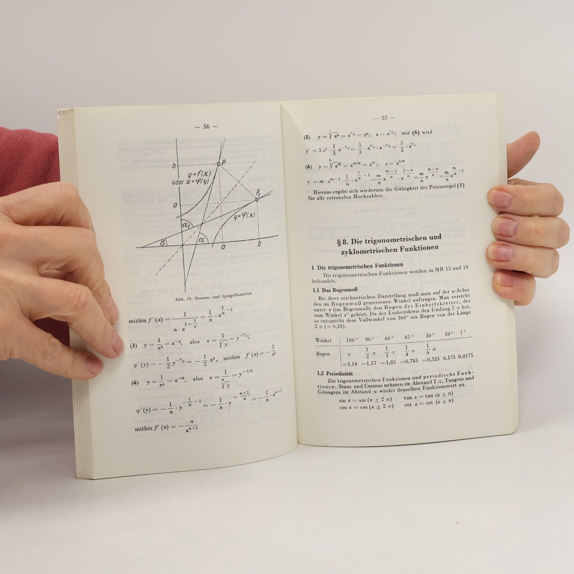 Theo Kühlein Differentialrechnung I