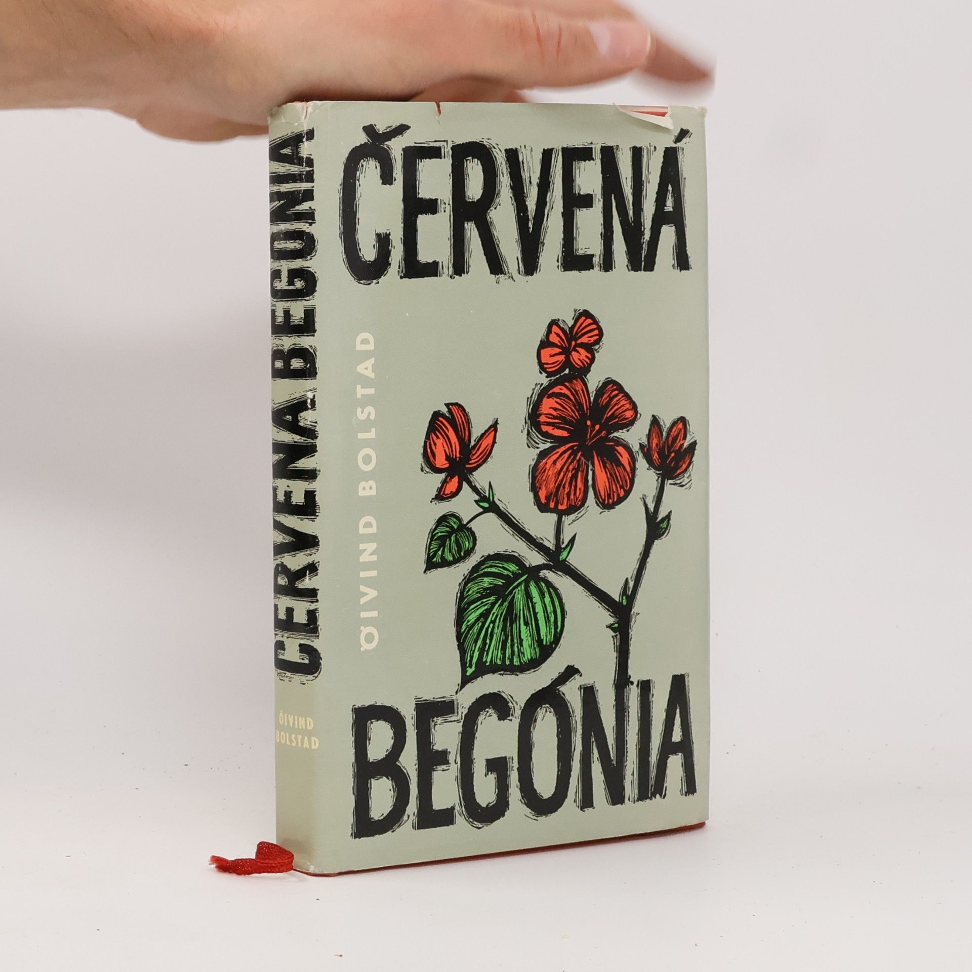 Červená Begónia