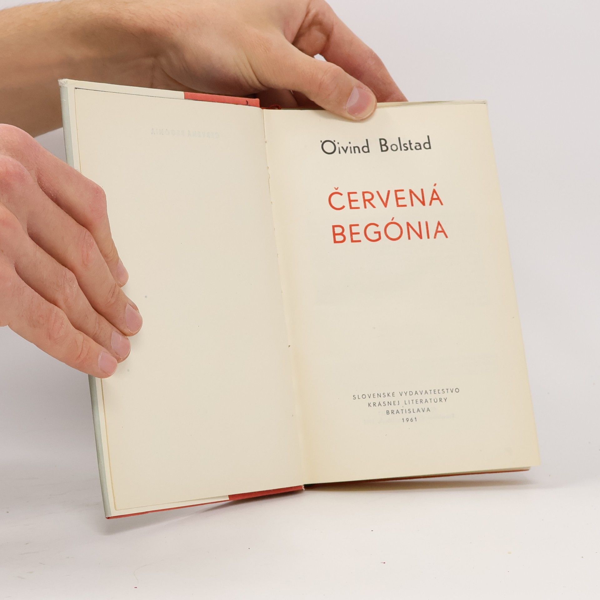 Oivind Bolstad Červená Begónia