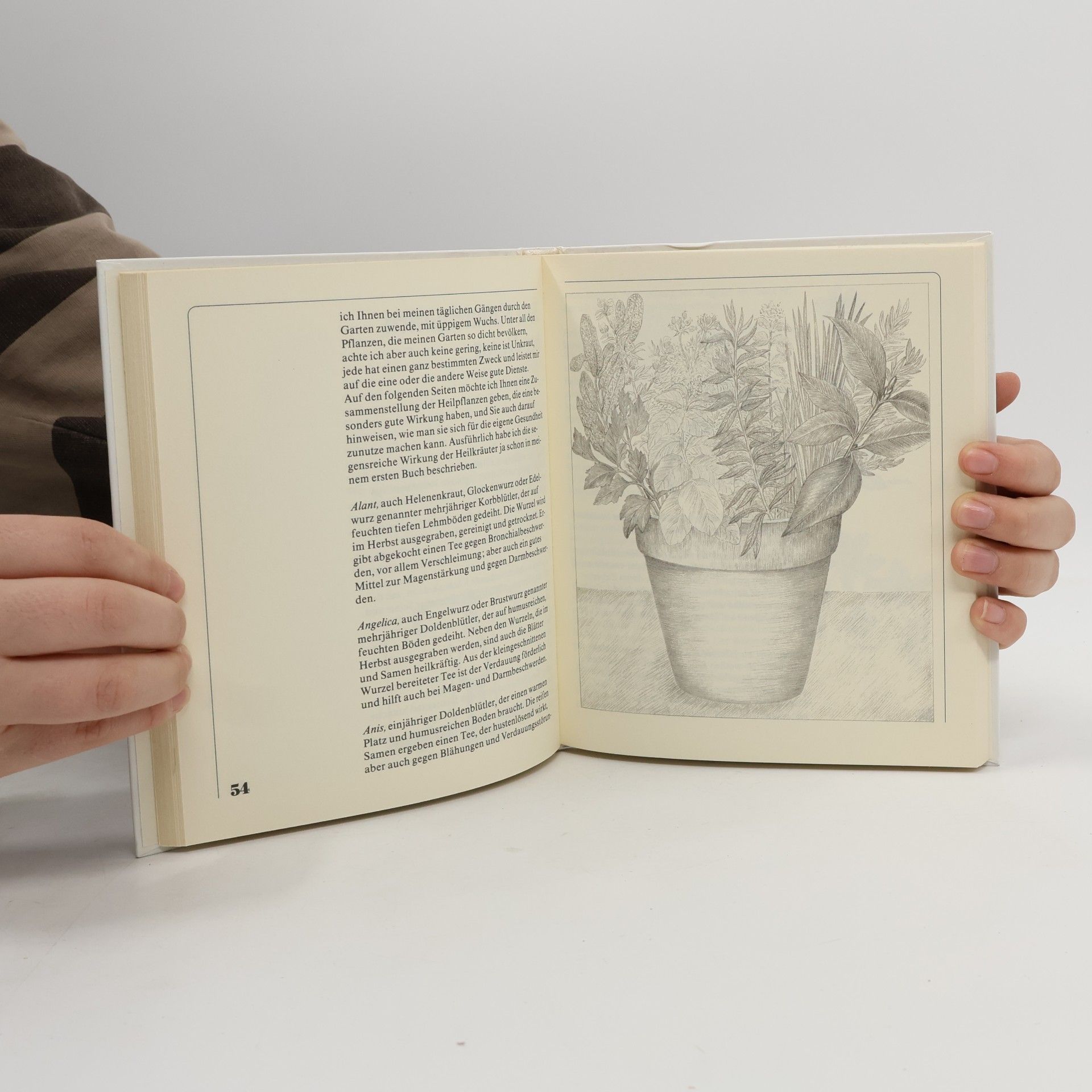 Bernardine Schwester Bernardines Hausmittelbuch