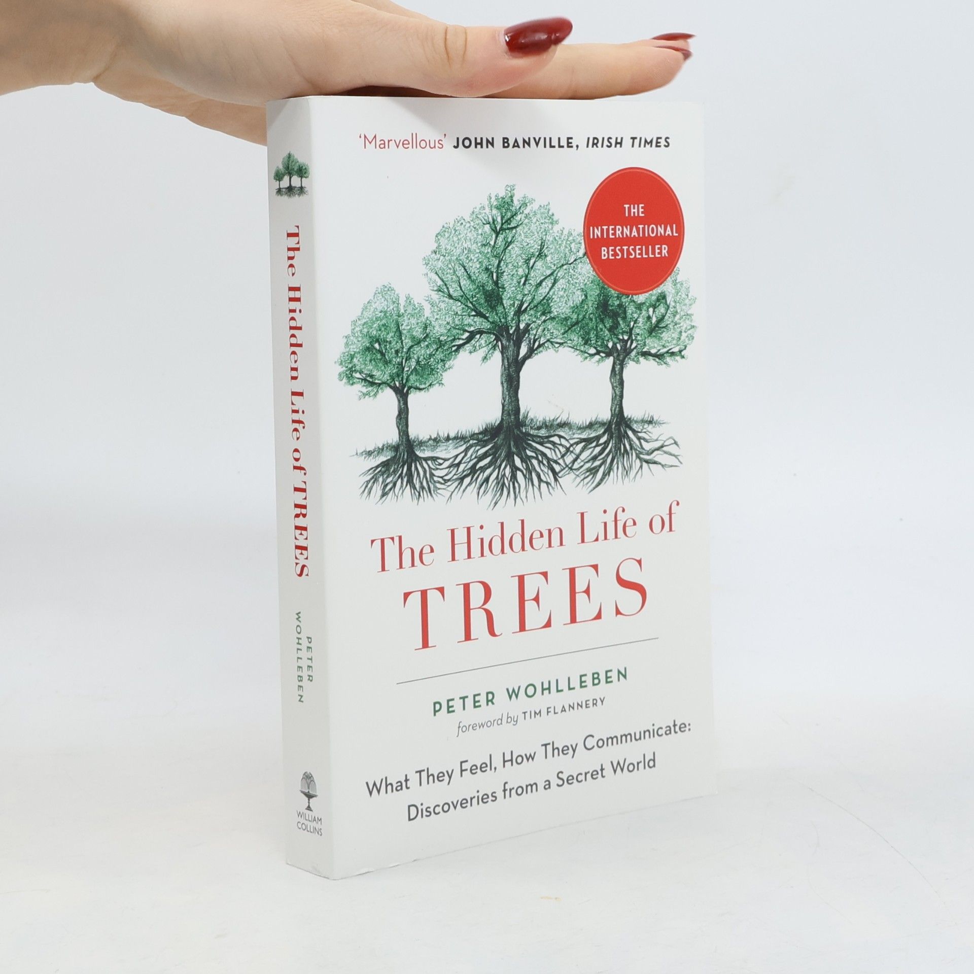 The hidden life of trees