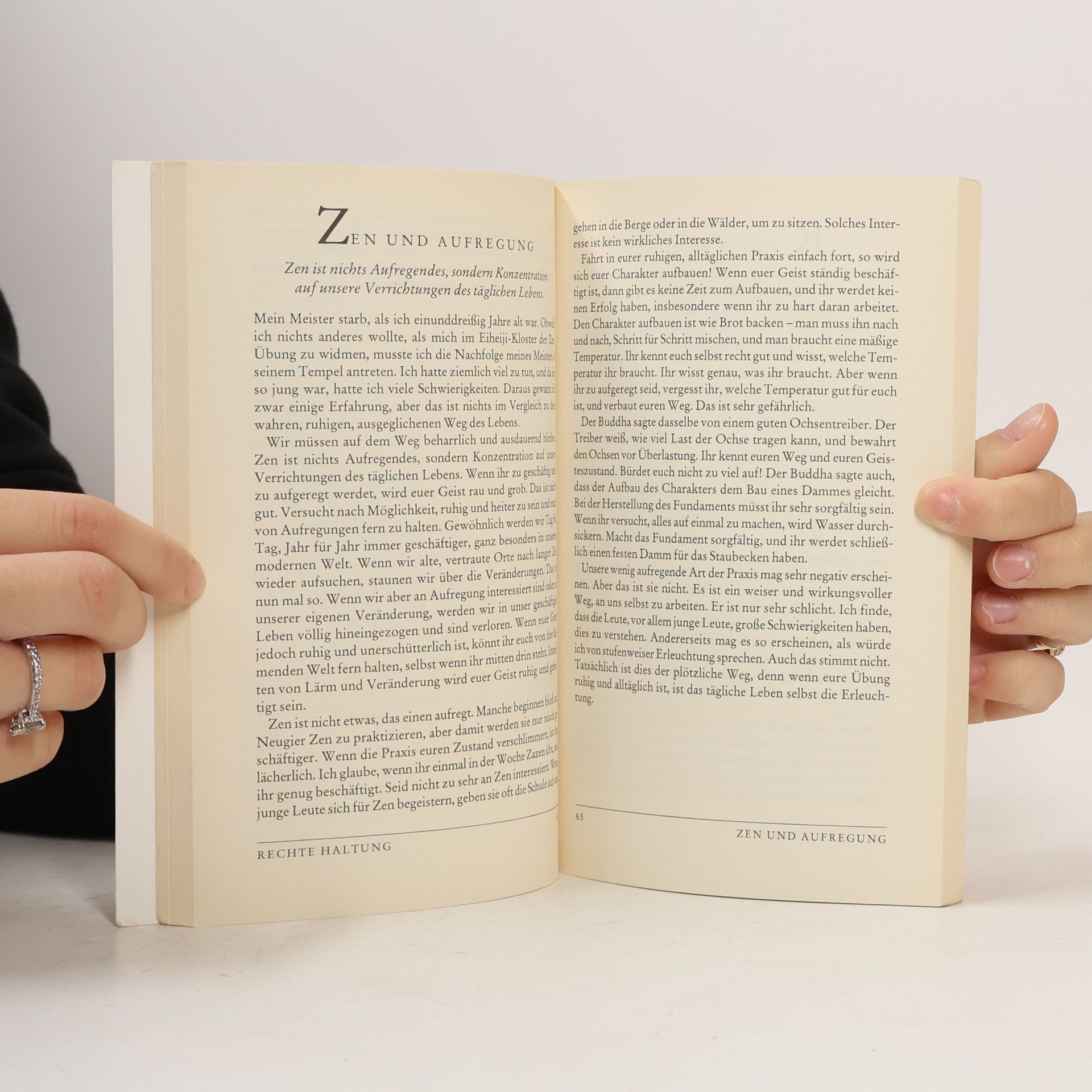 Shunryū Suzuki Zen-Geist, Anfänger-Geist