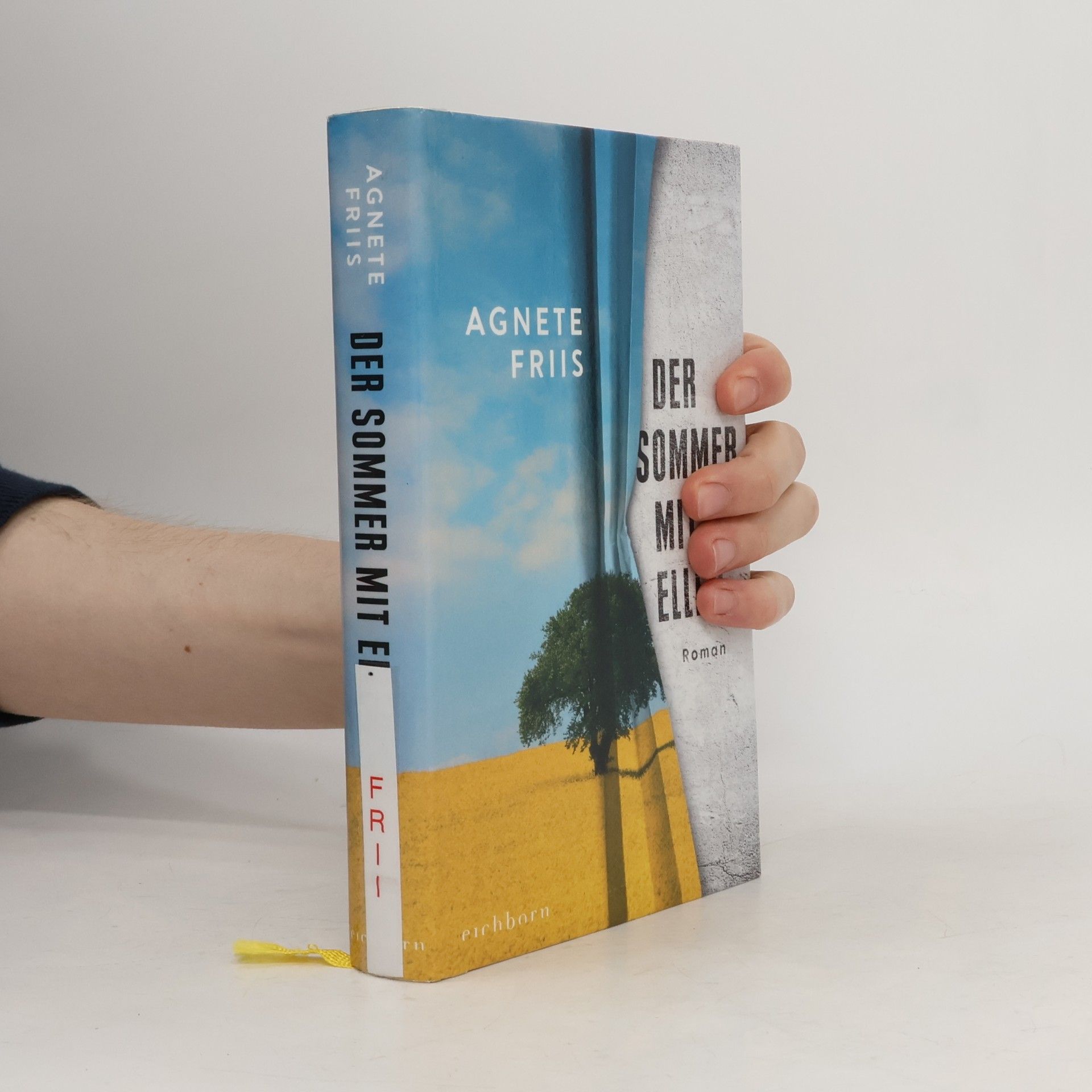 Agnete Friis Der Sommer mit Ellen