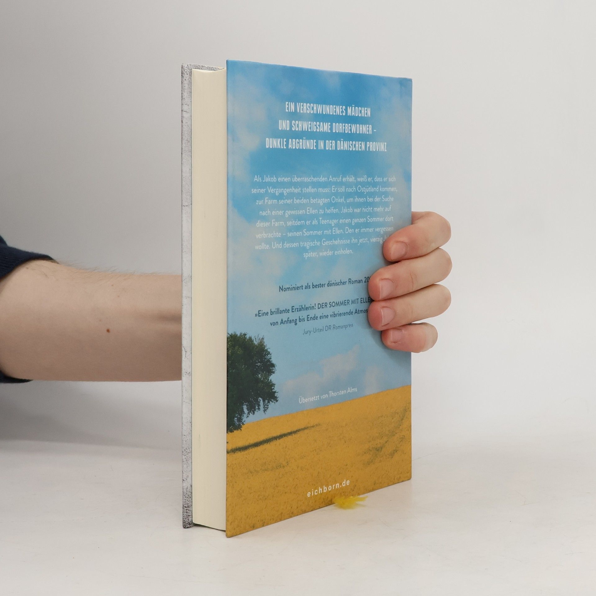 Agnete Friis Der Sommer mit Ellen