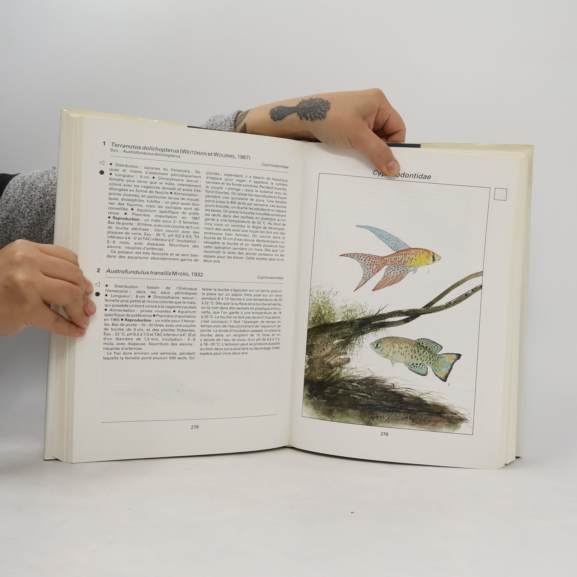 Ivan Petrovický La grande encyclopedie des poissons d'aquarium