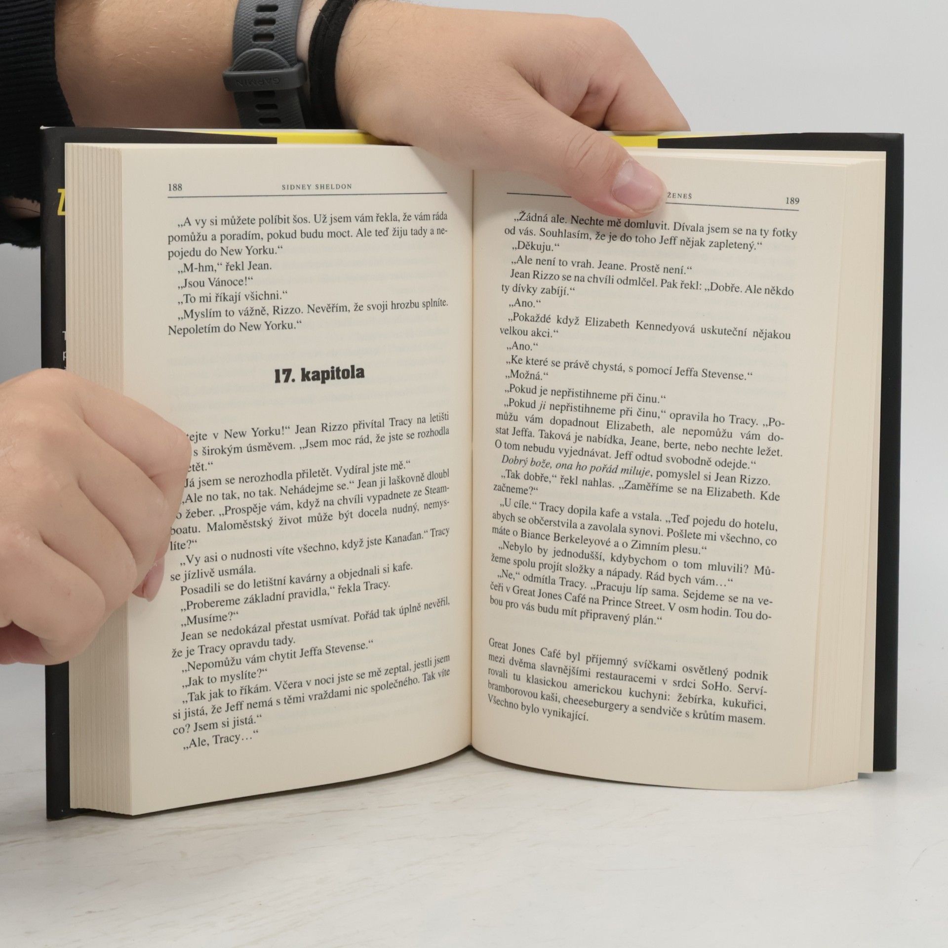 Sidney Sheldon Zítřek nedoženeš