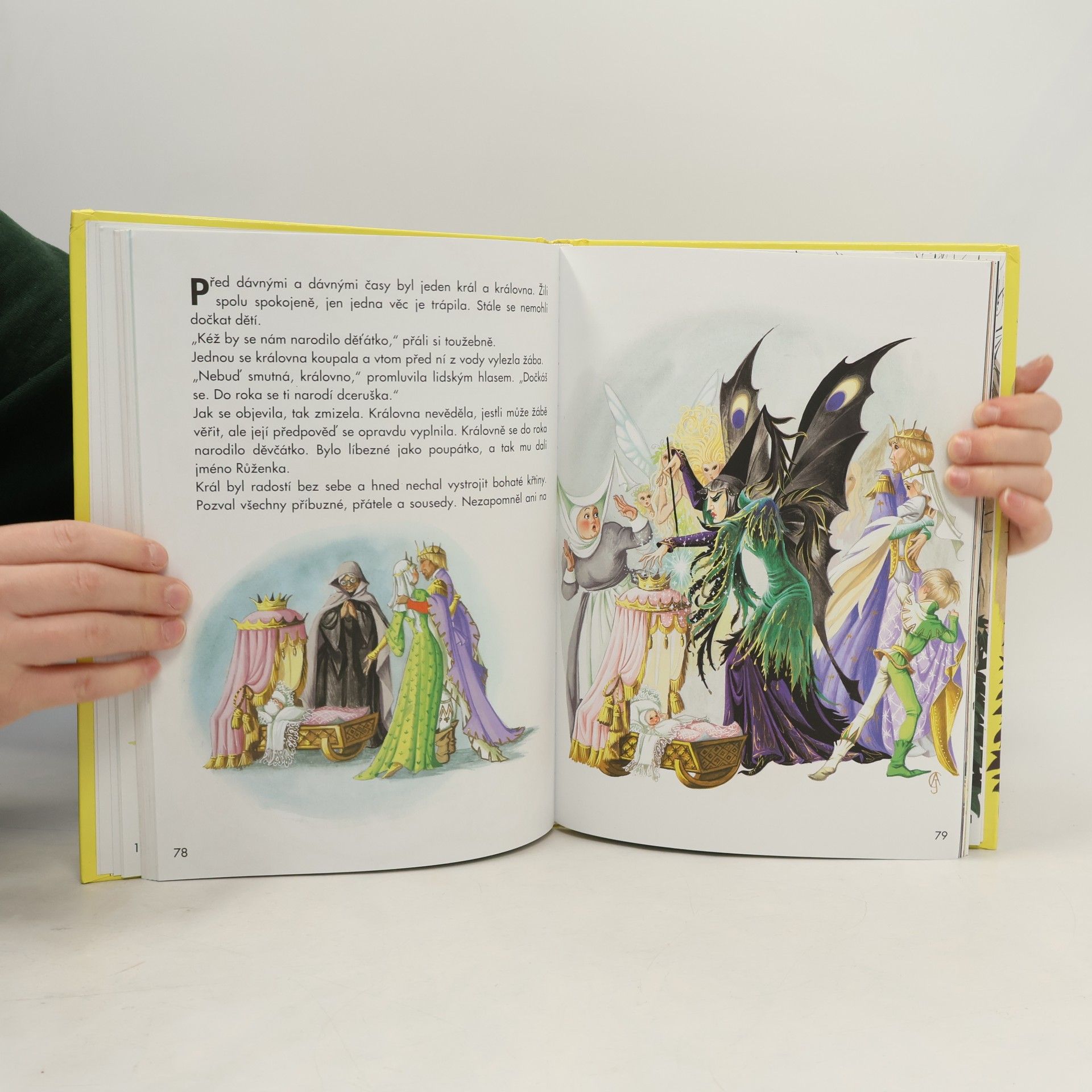 Jacob Ludwig Karl Grimm Pohádky bratří Grimmů