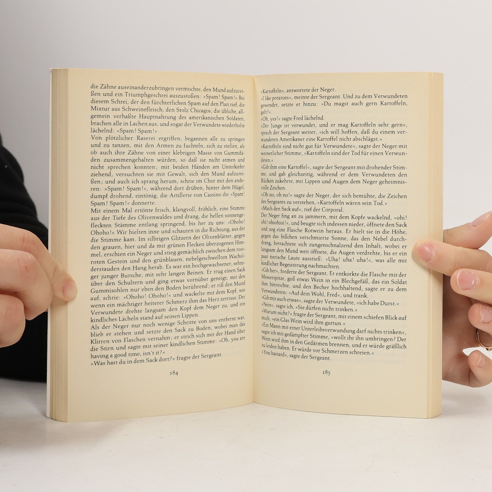 Curzio Malaparte Die Haut