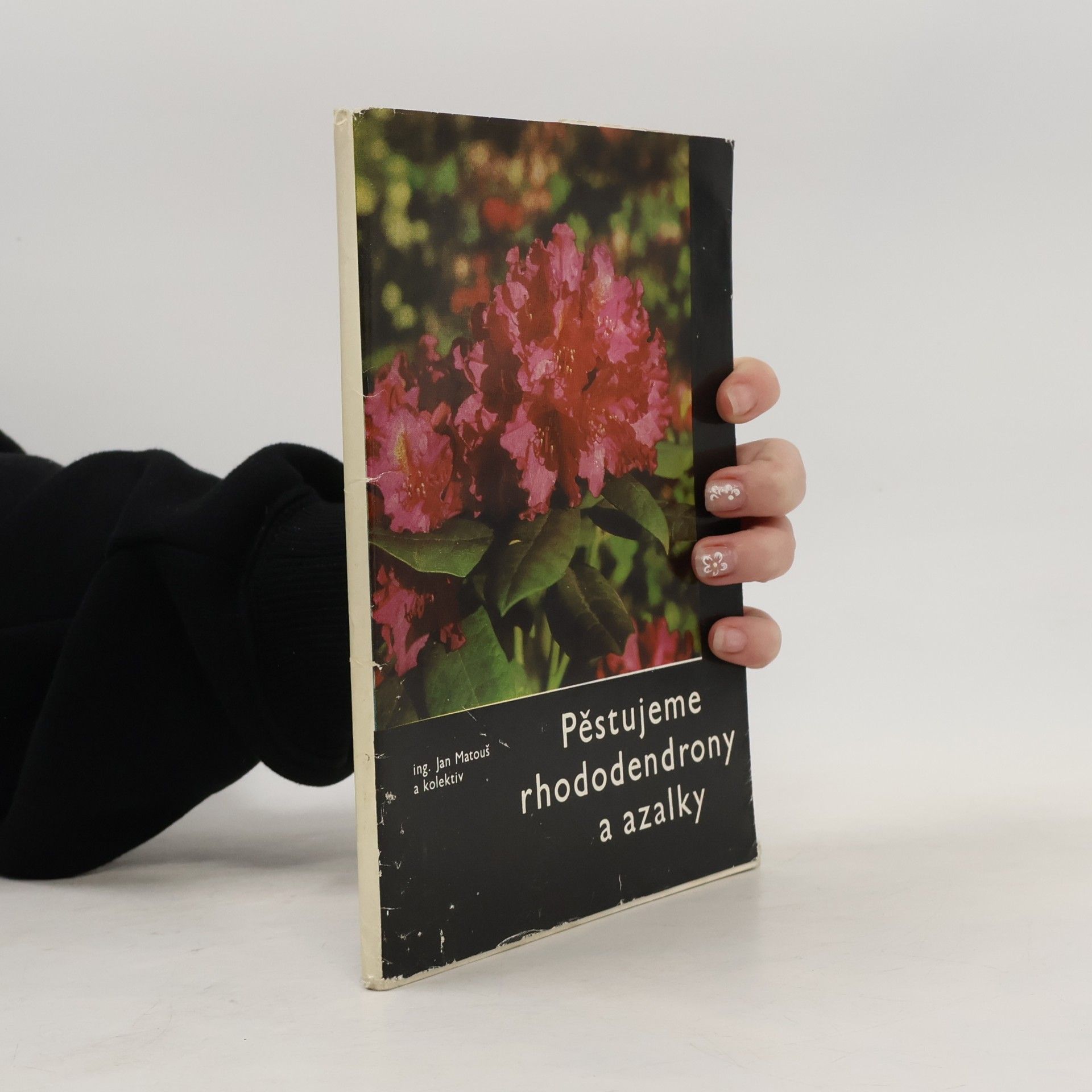 Jan Matouš Pěstujeme rhododendrony a azalky