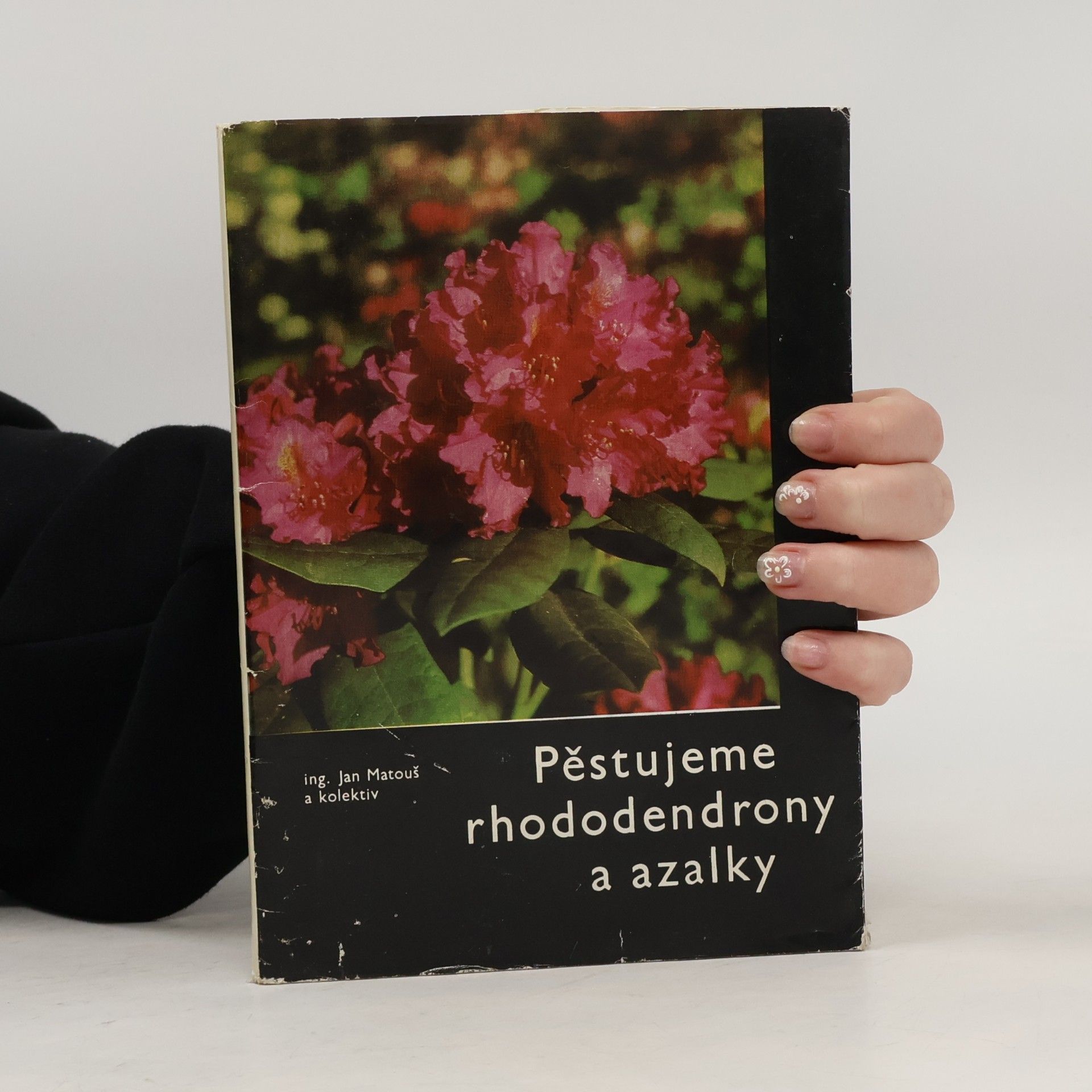 Jan Matouš Pěstujeme rhododendrony a azalky
