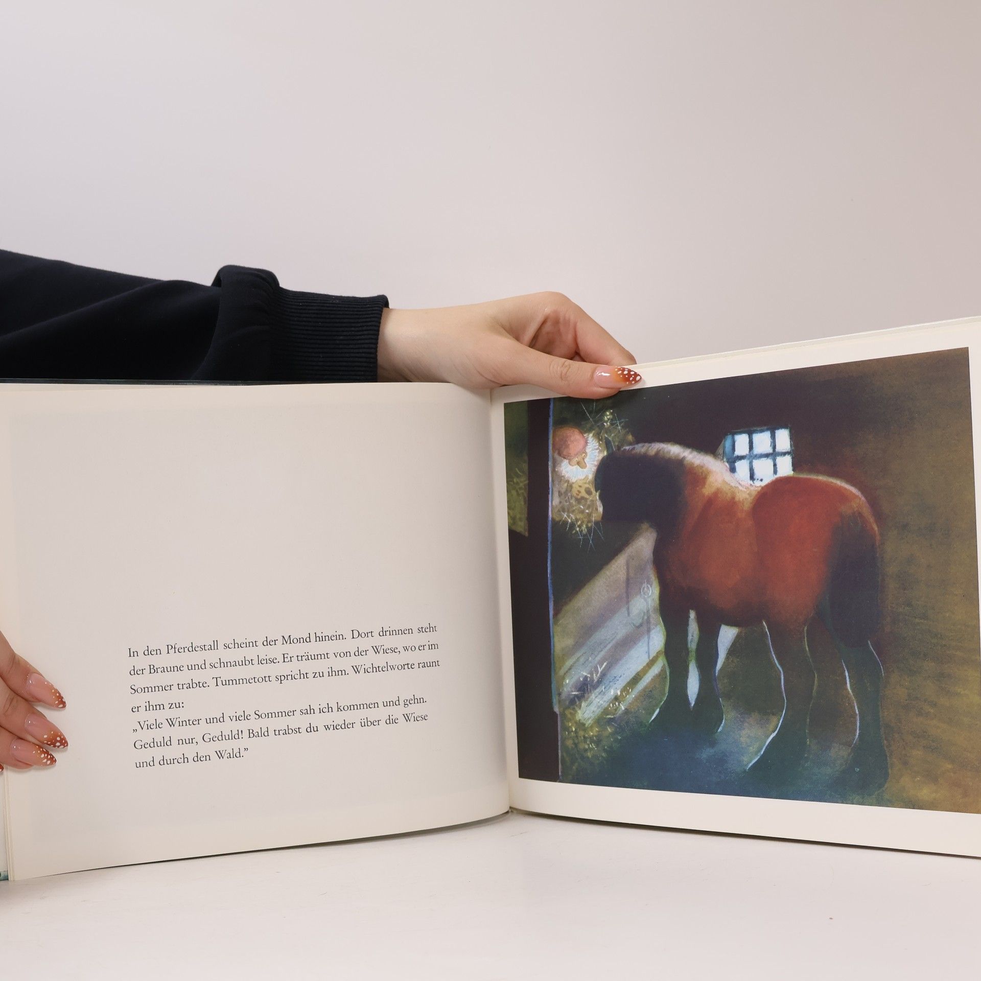 Astrid Lindgren Tomte Tummetott