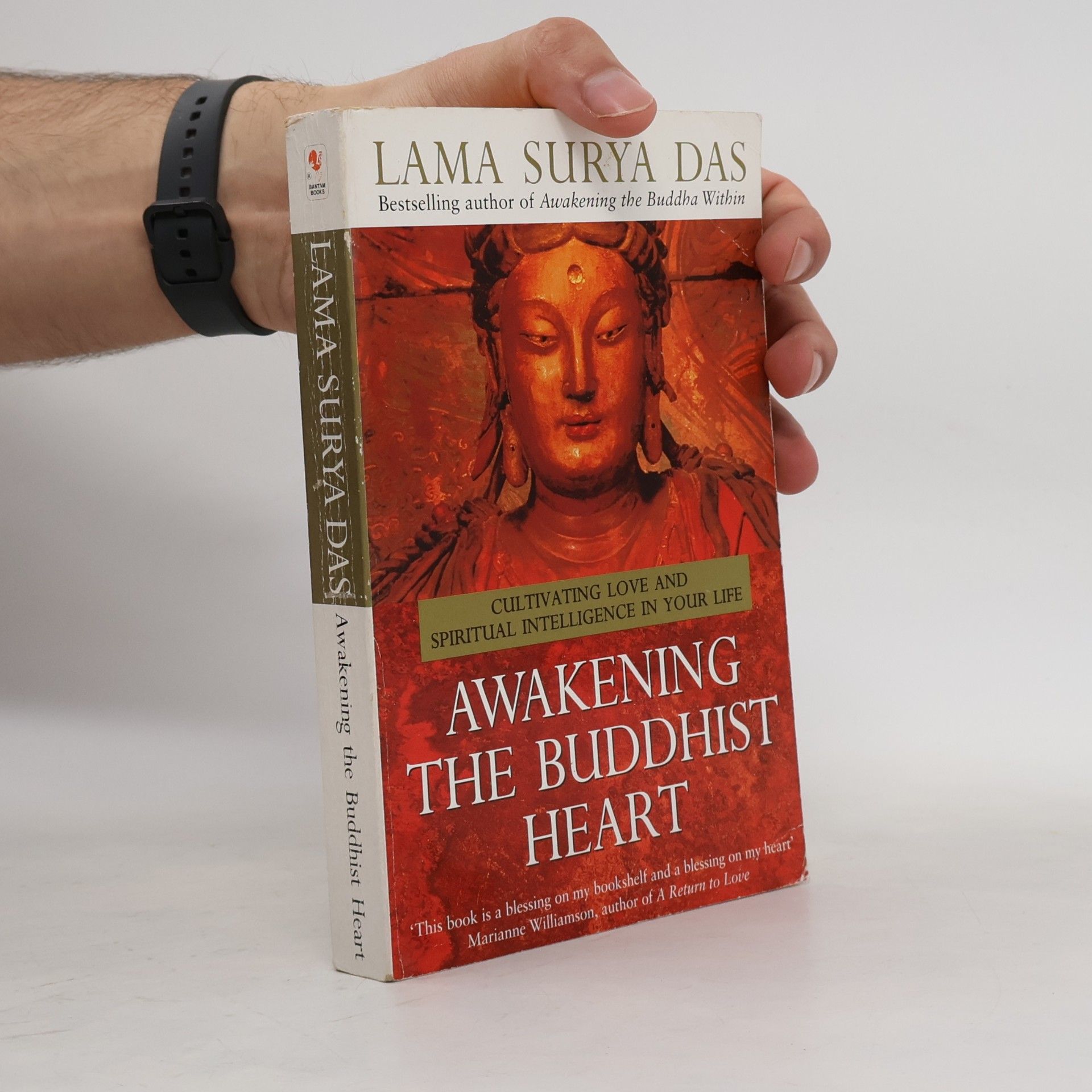 Lama Surya Das Awakening The Buddhist Heart