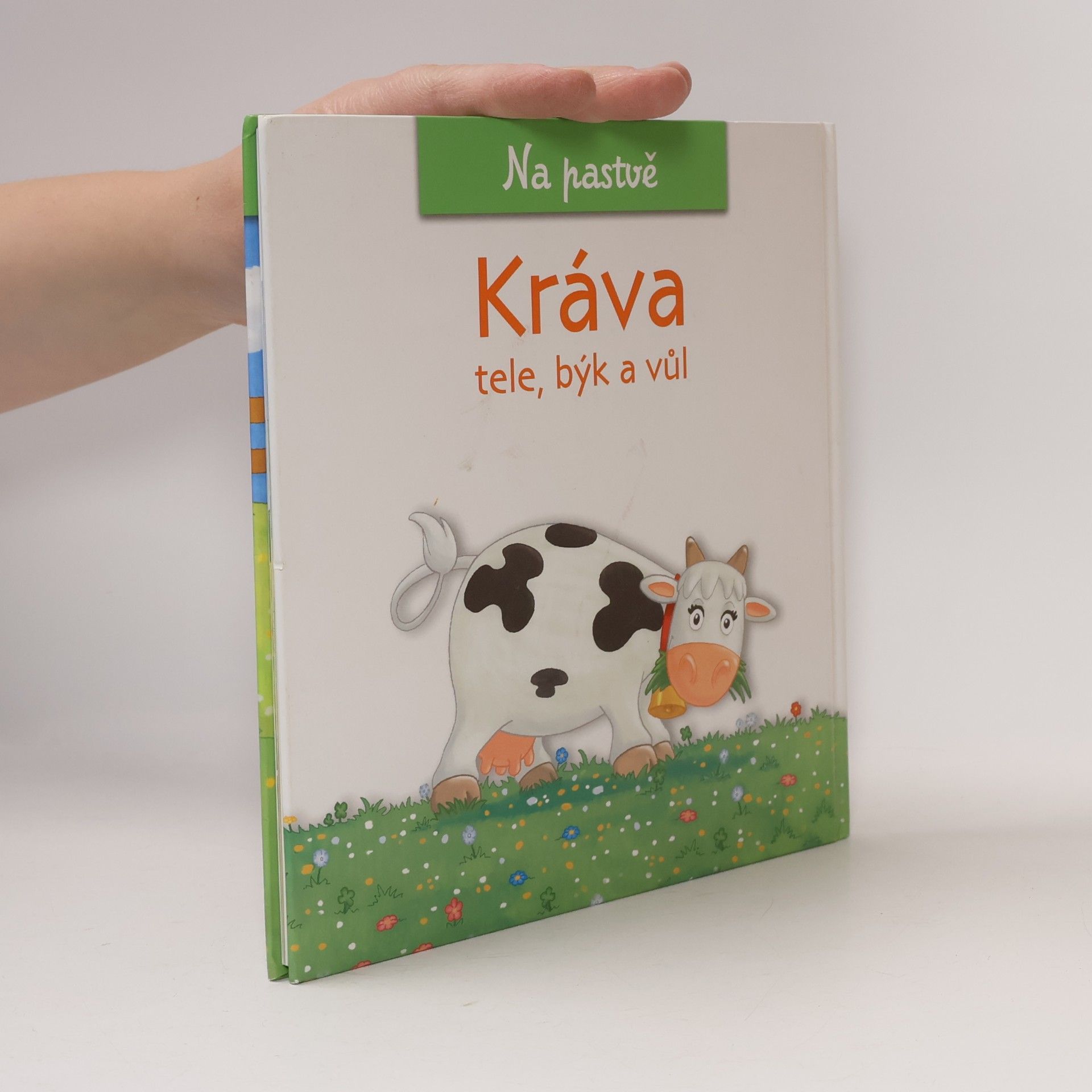 Christine Serbource Kráva, tele, býk a vůl