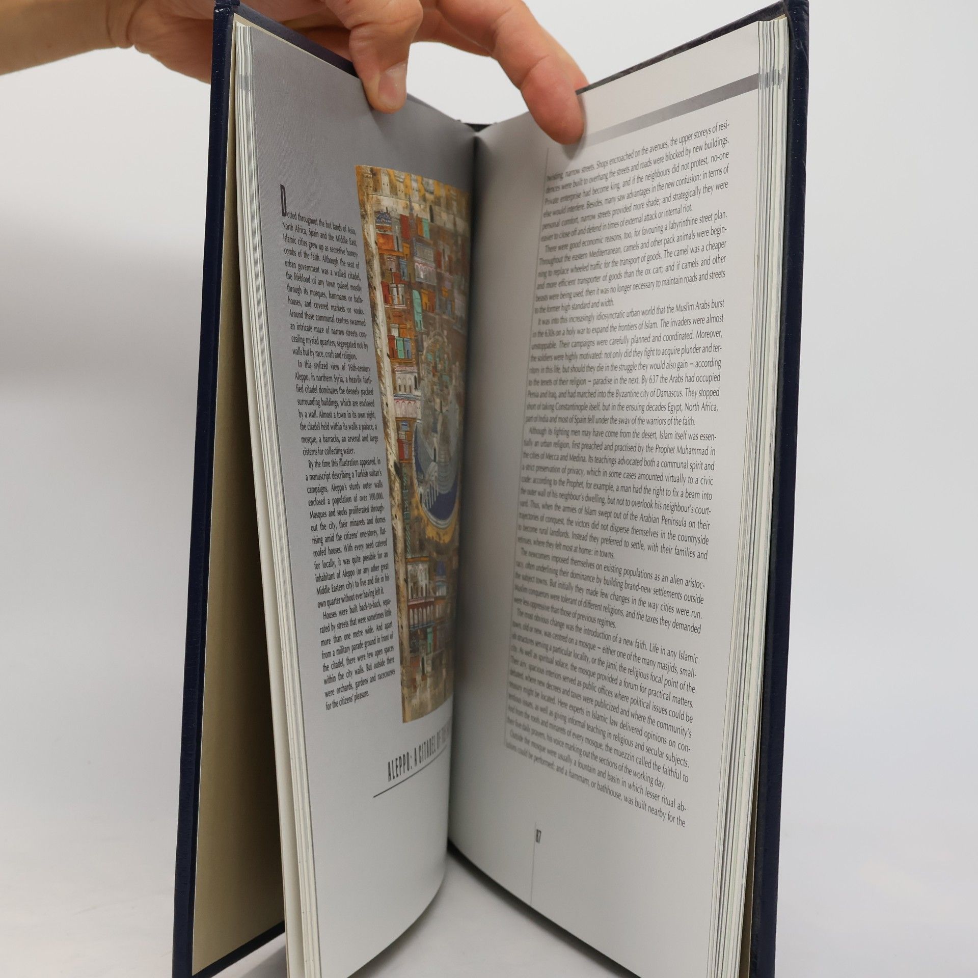 Time-Life Books Time-Life History of the World: The Rise of Cities