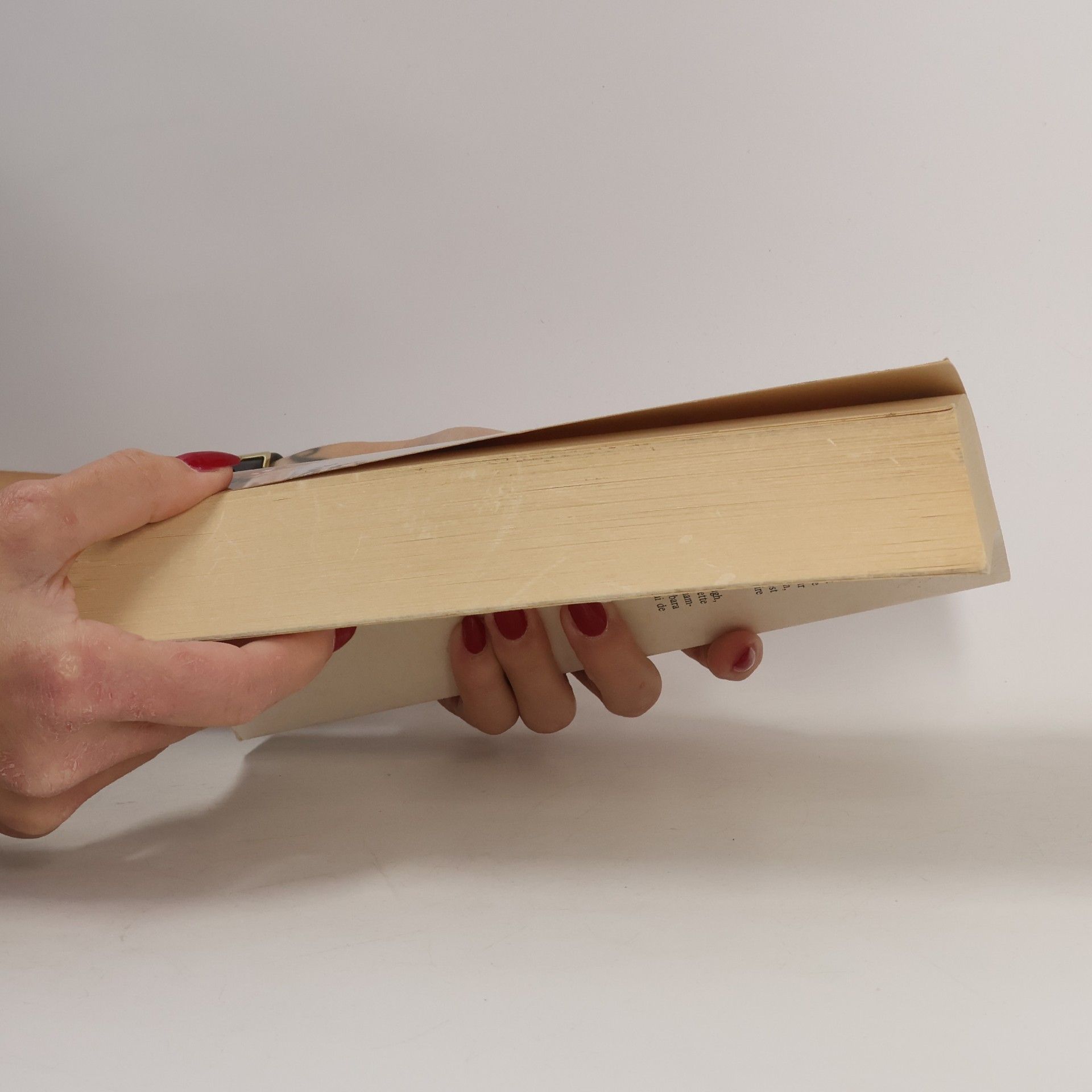 Colleen McCullough Les oiseaux se cachent pour mourir