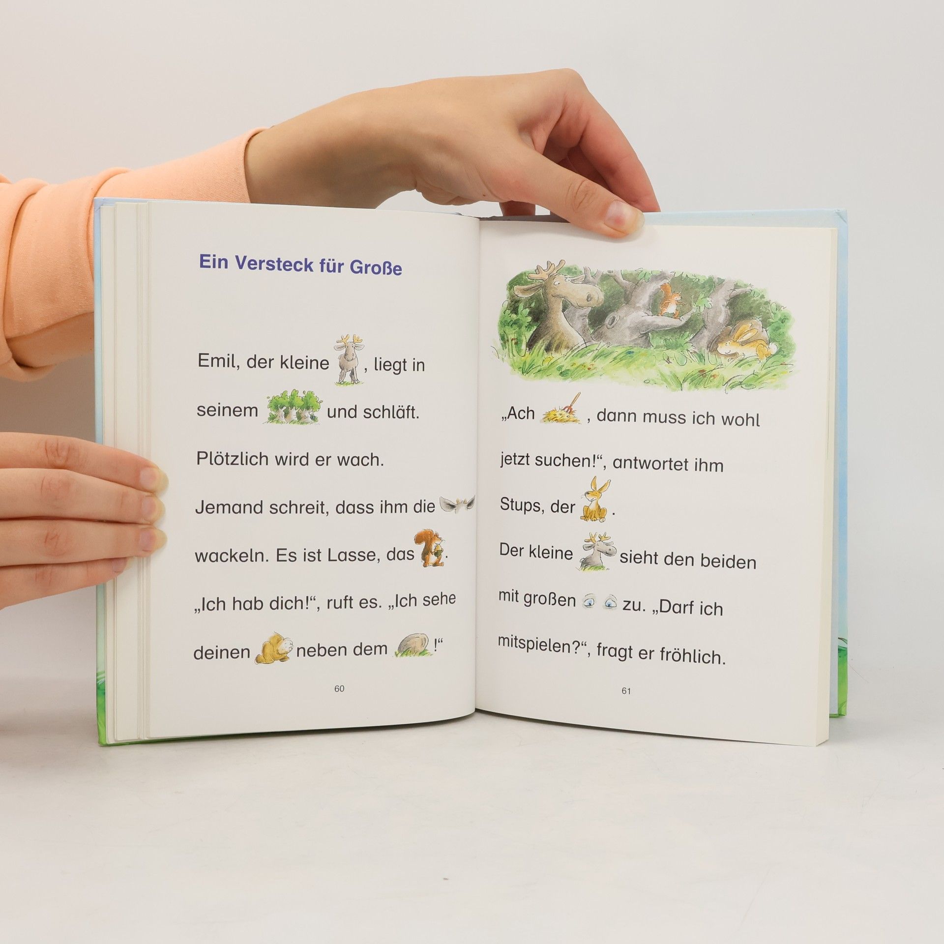 Das große Buch der Bildermäuse