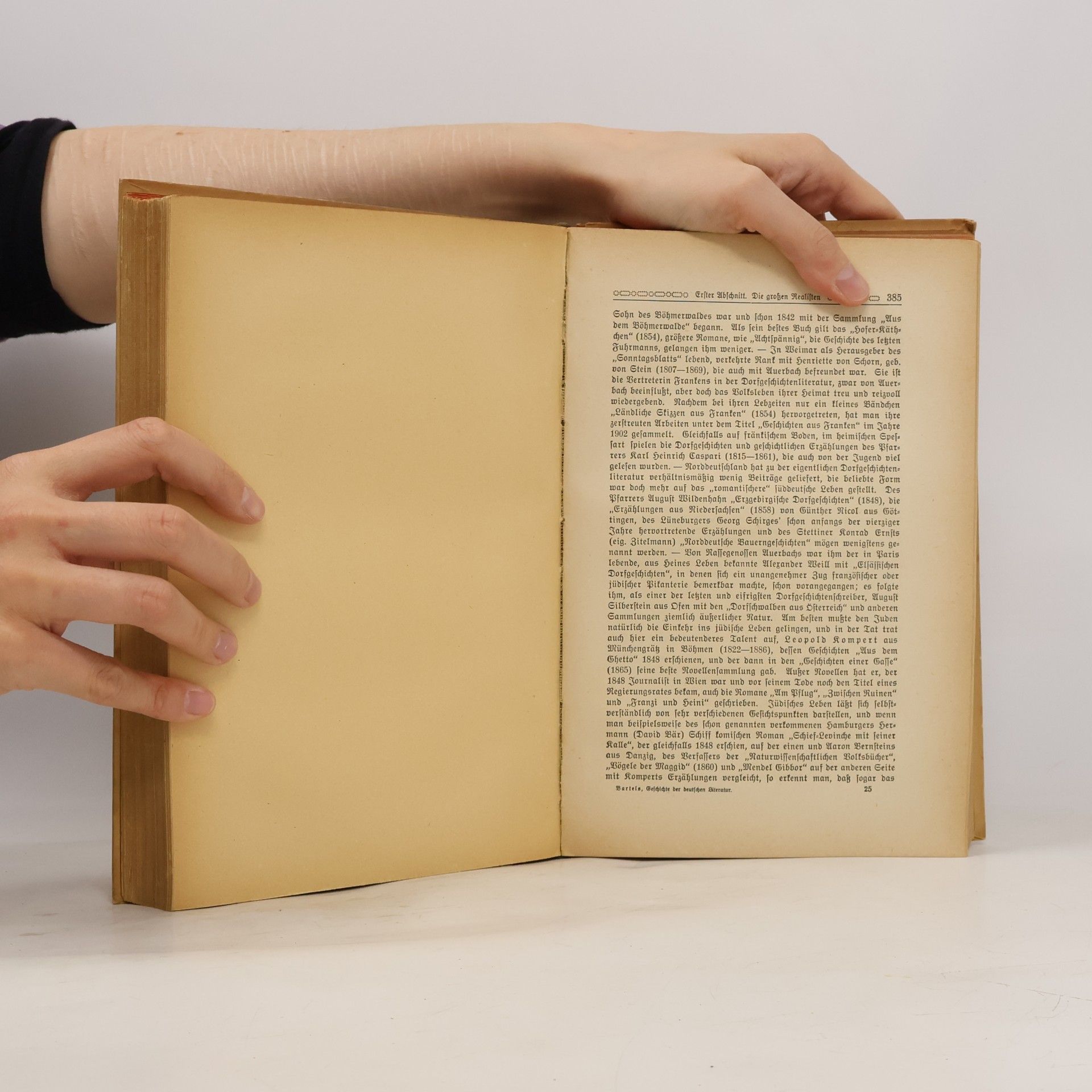 Adolf Bartels Geschichte der deutschen Literatur