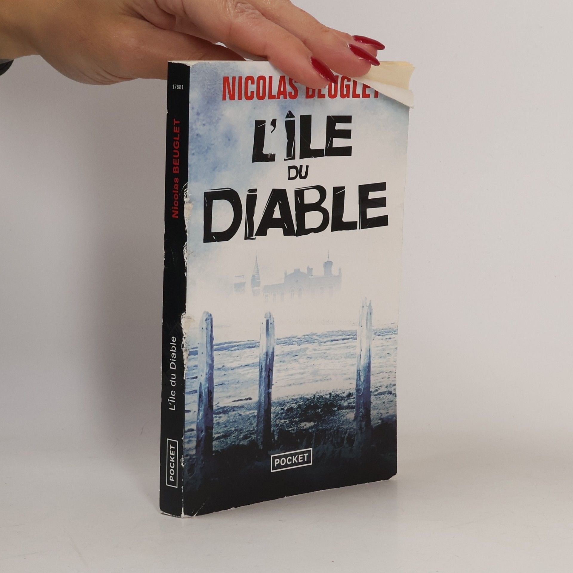 Nicolas Beuglet L'île du diable