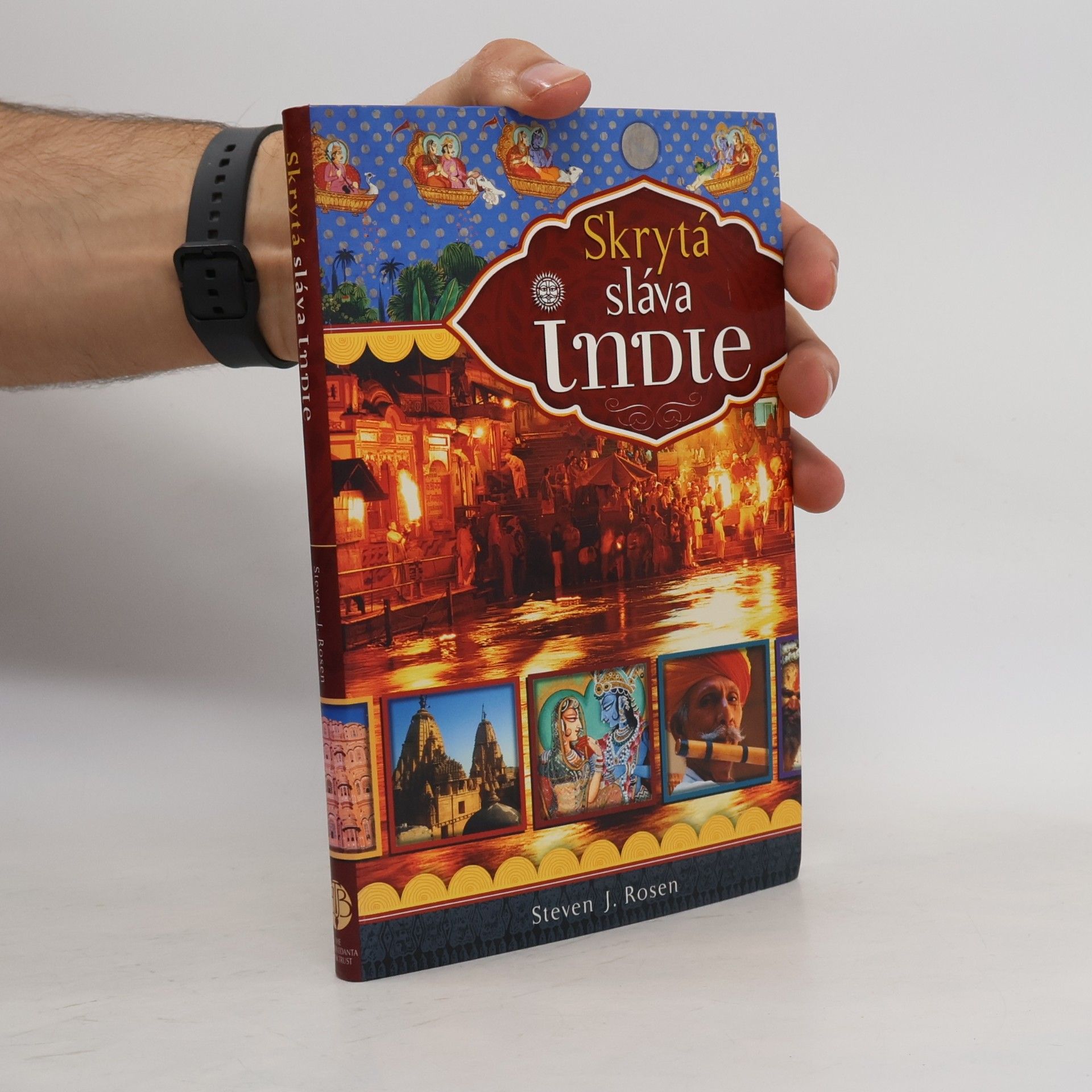 Steven Rosen Skrytá sláva Indie