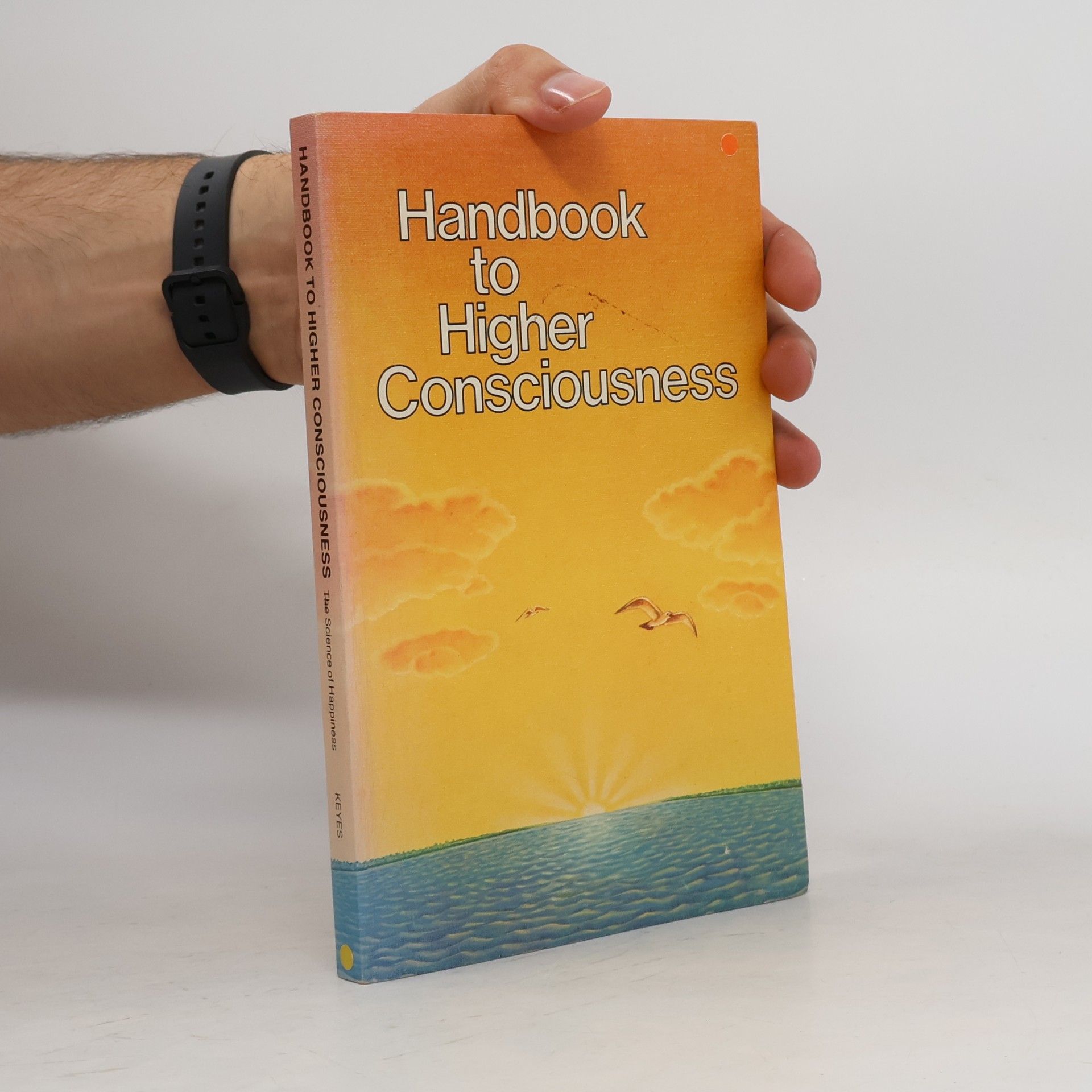 Handbook to Higher Consciousness