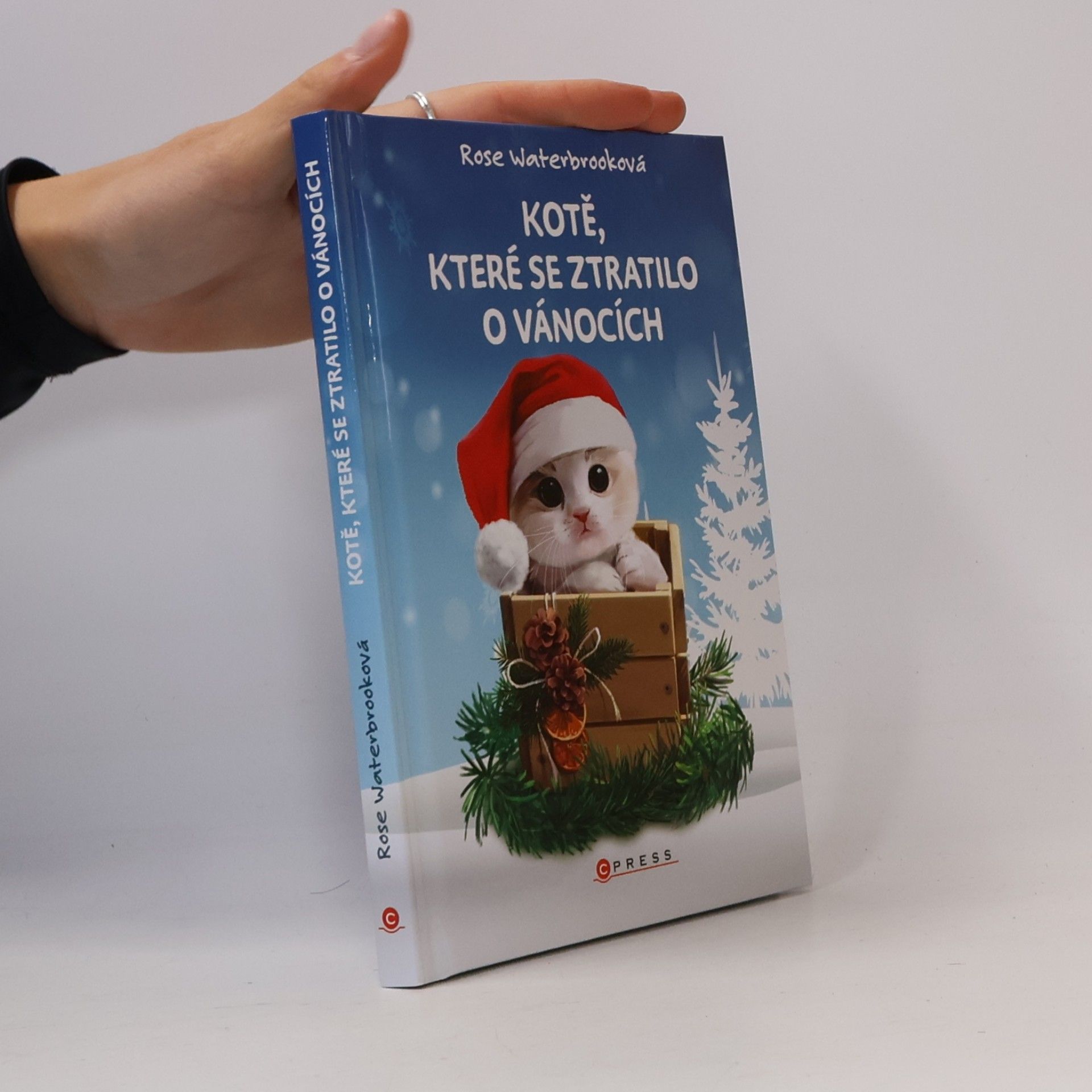 Kotě, které se ztratilo o Vánocích