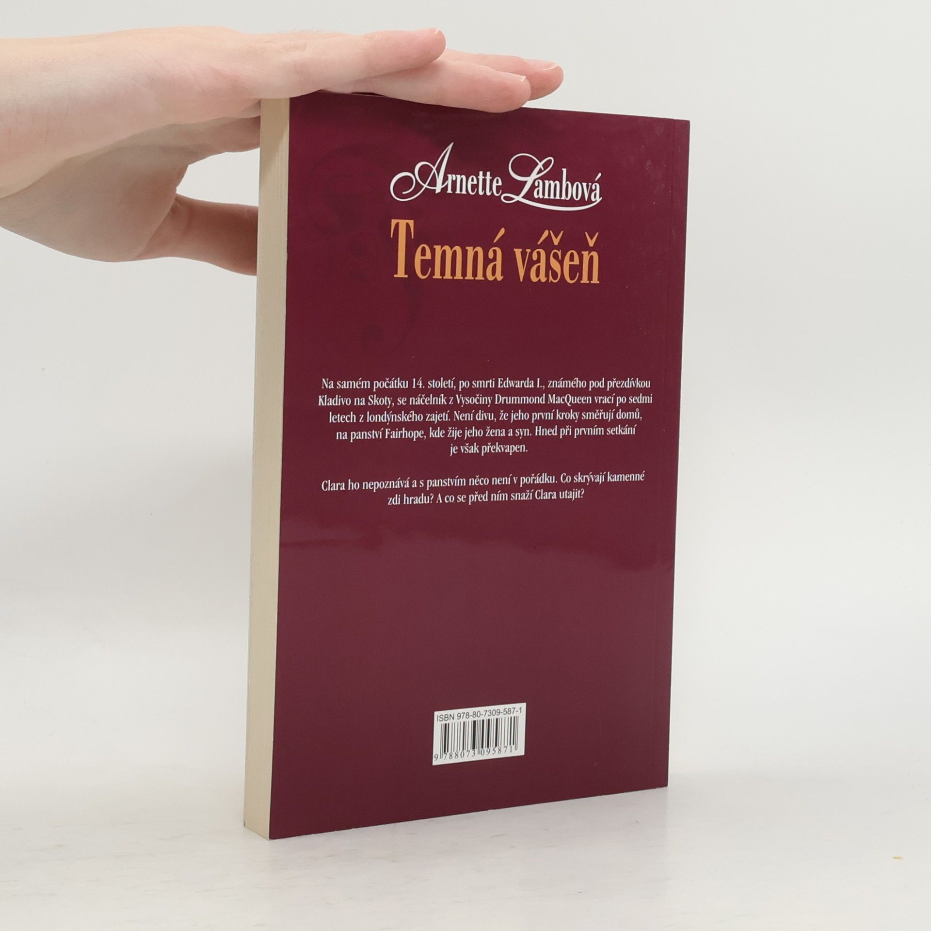 Arnette Lamb Temná vášeň