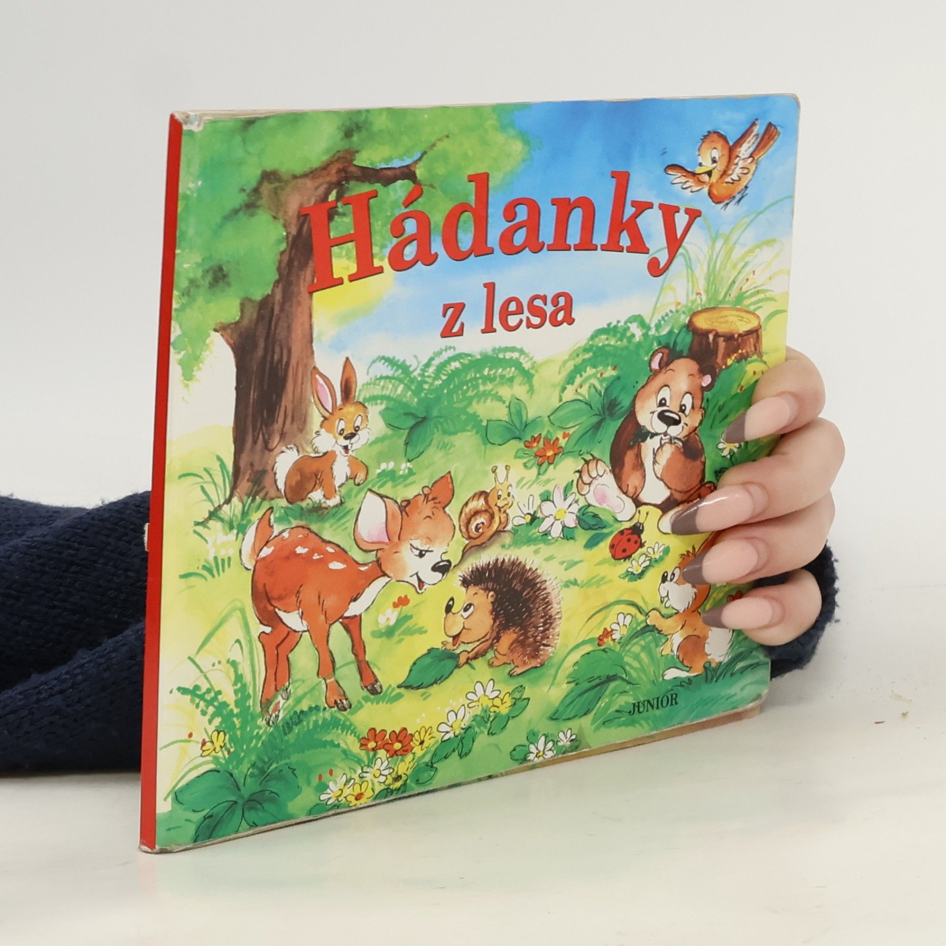 Hádanky z lesa