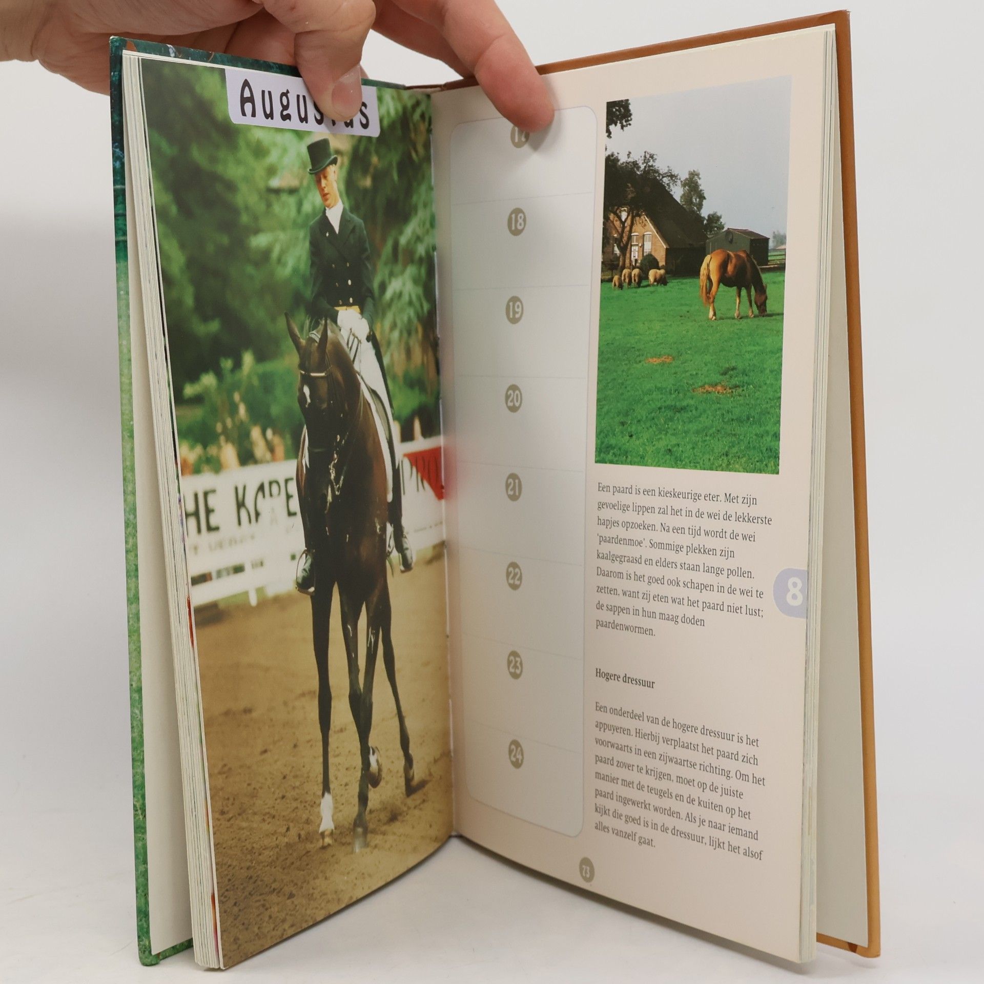 Josée Hermsen Het paarden dagboek