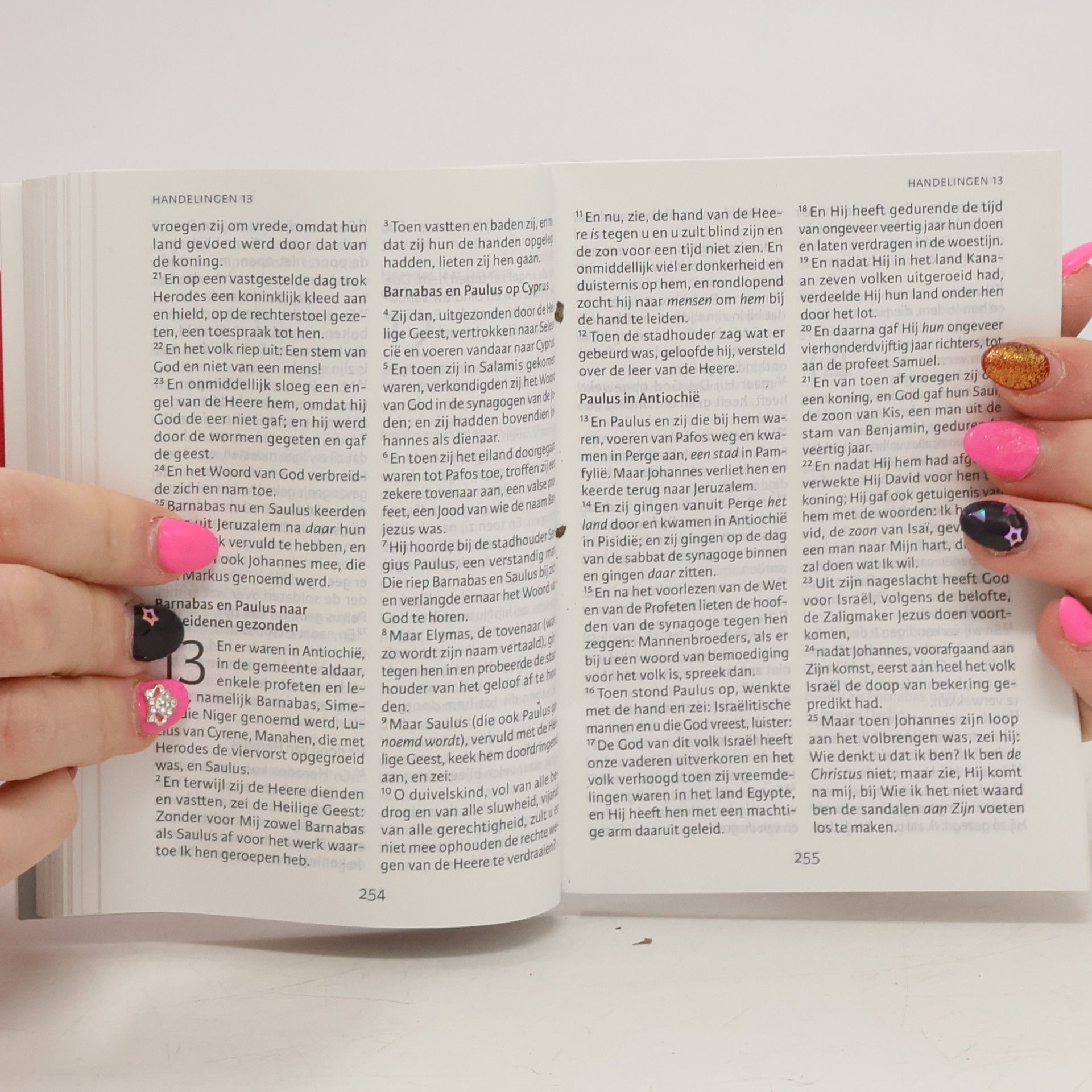 Various authors Het Nieuwe Testament Nederlands