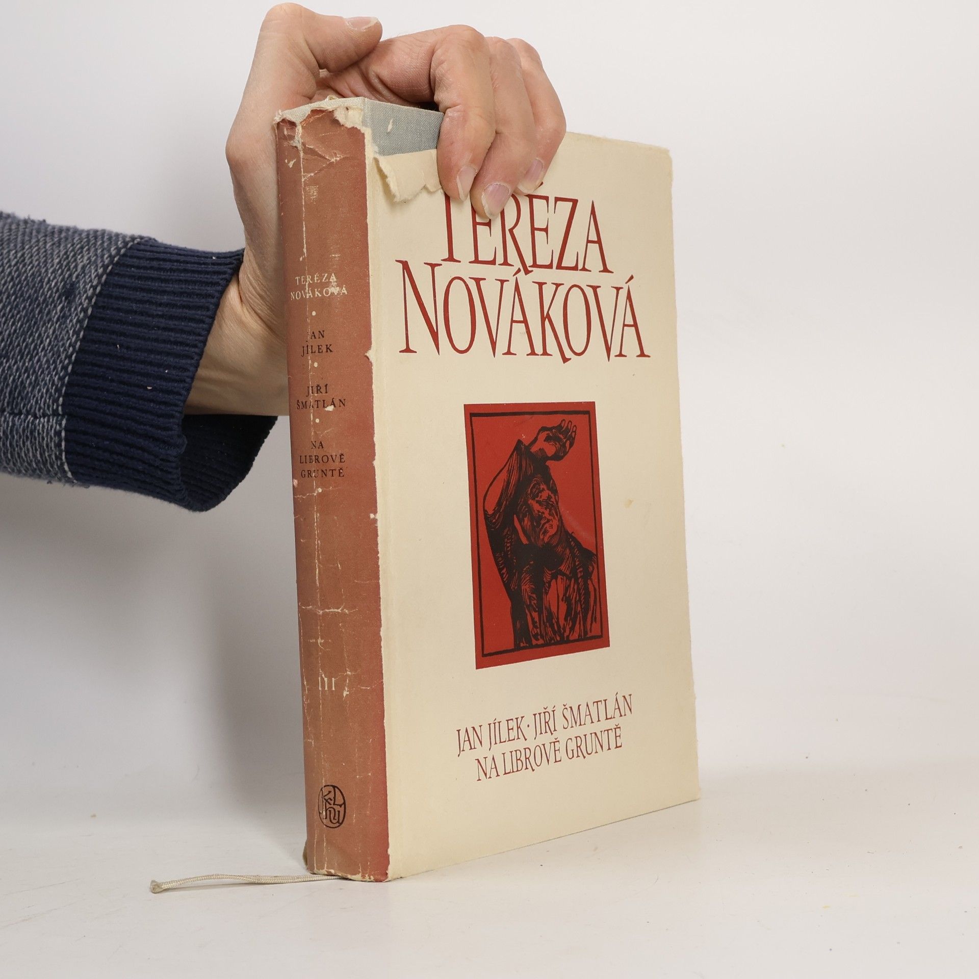 Tereza Nováková Vybrané spisy Terezy Novákové