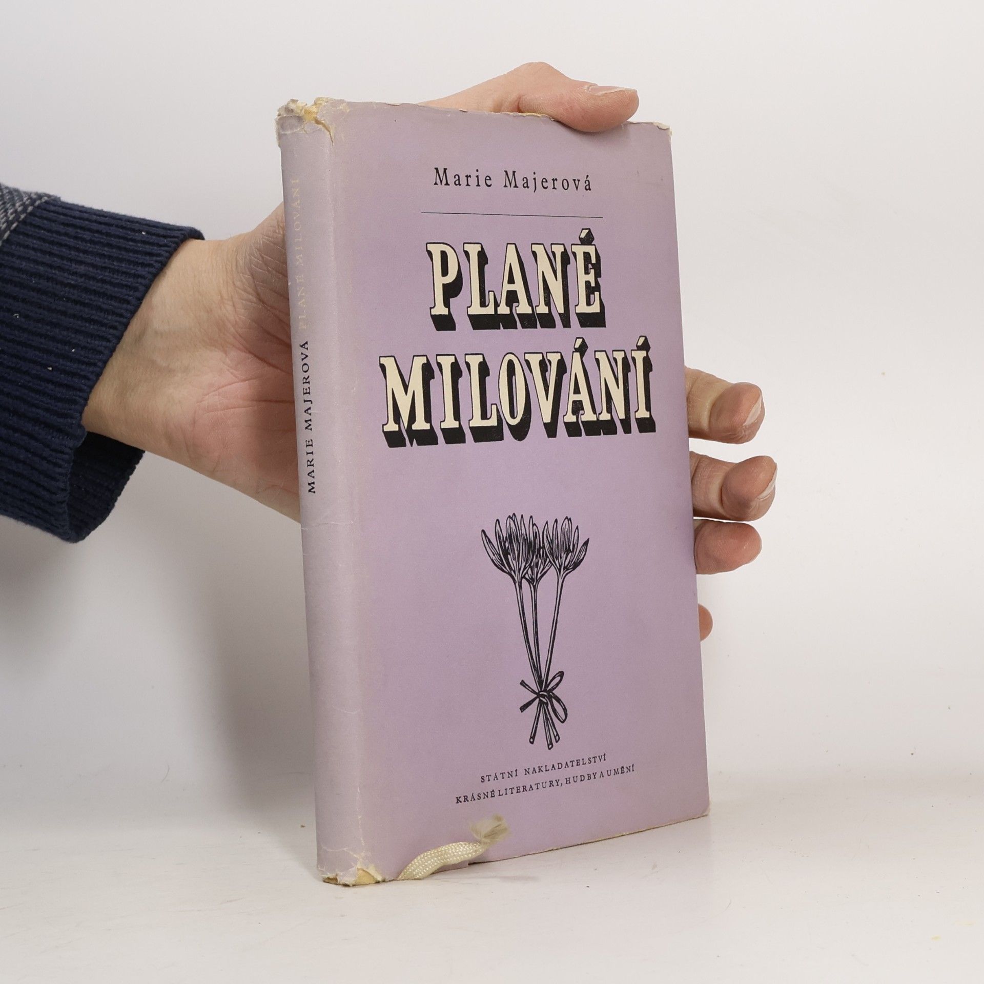 Plané milování