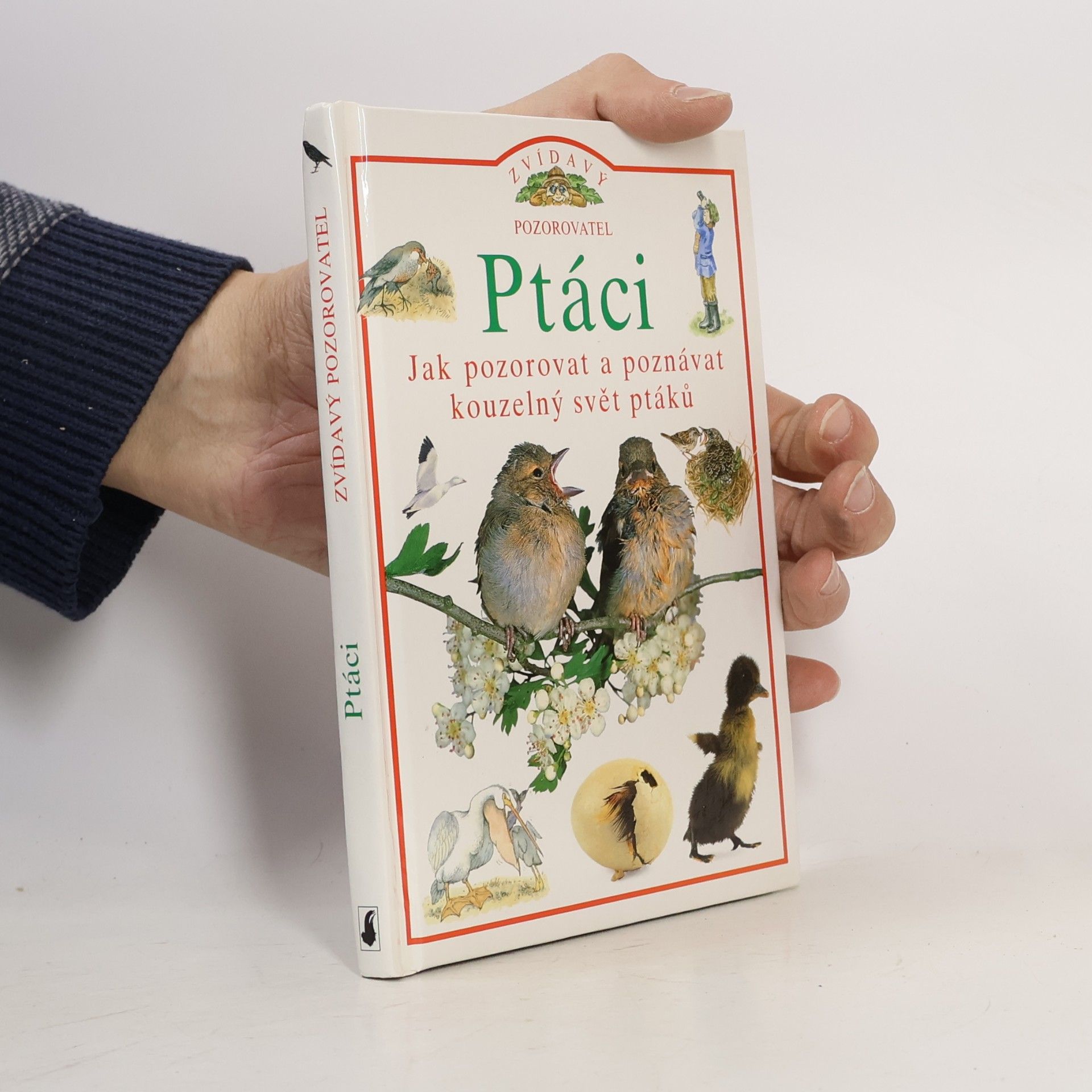 Ptáci